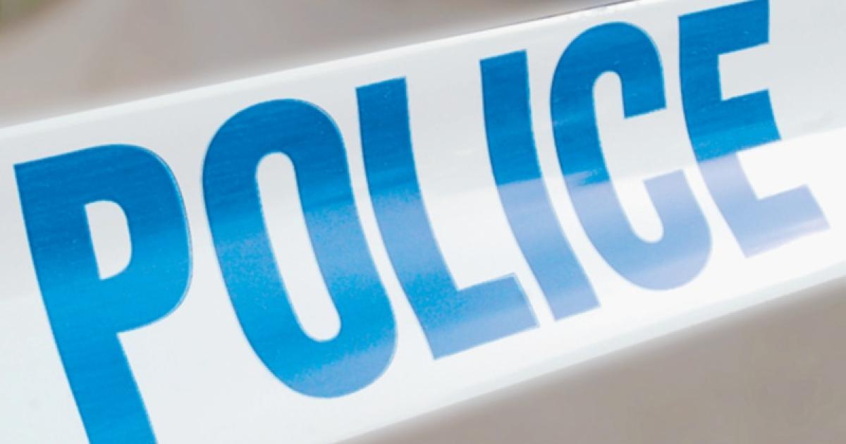 Eighty year old hospitalised after dog bite in Langley park Baylis