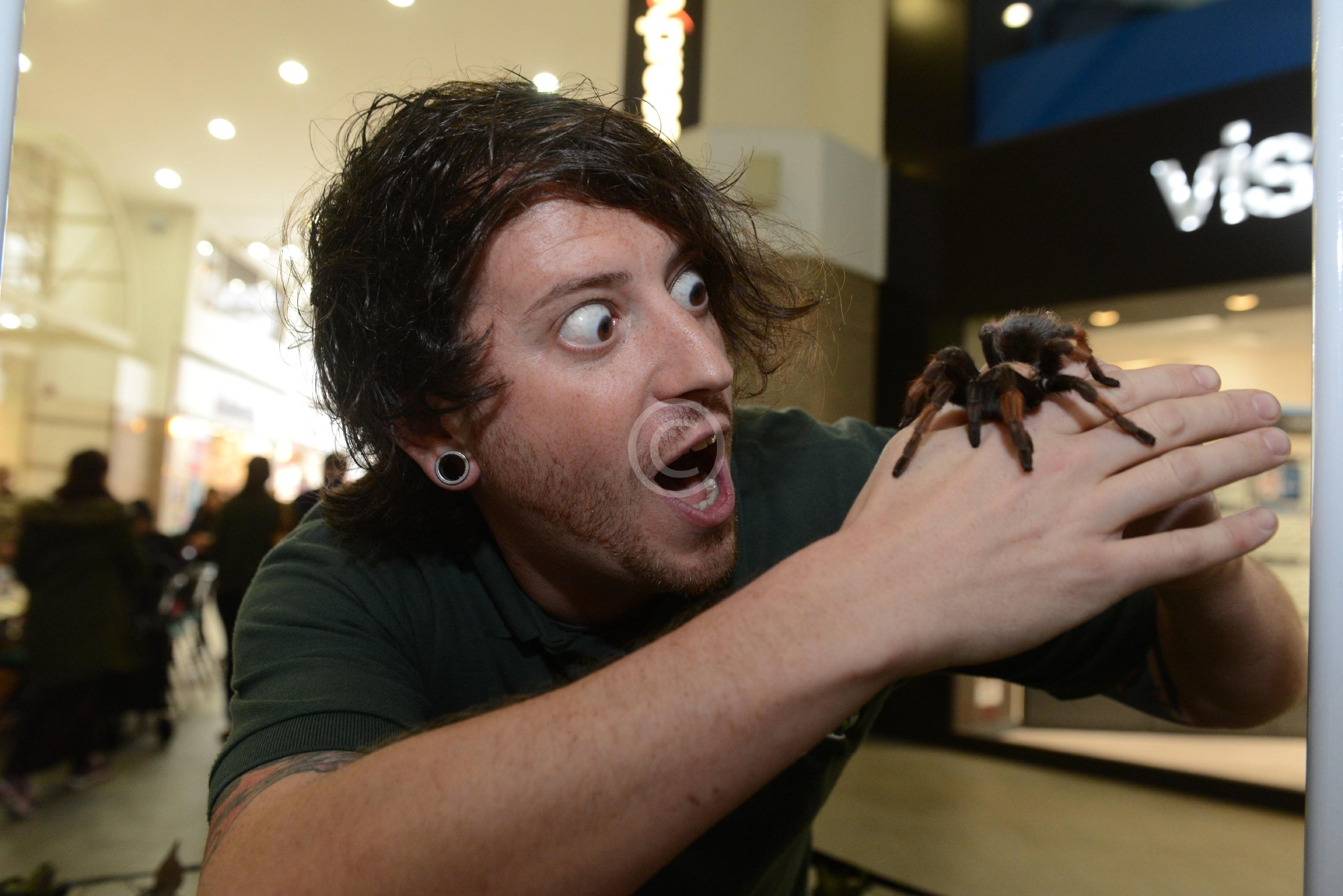 MAIDENHEAD 126898 Photo 1 of 12 Baylis Media Photos