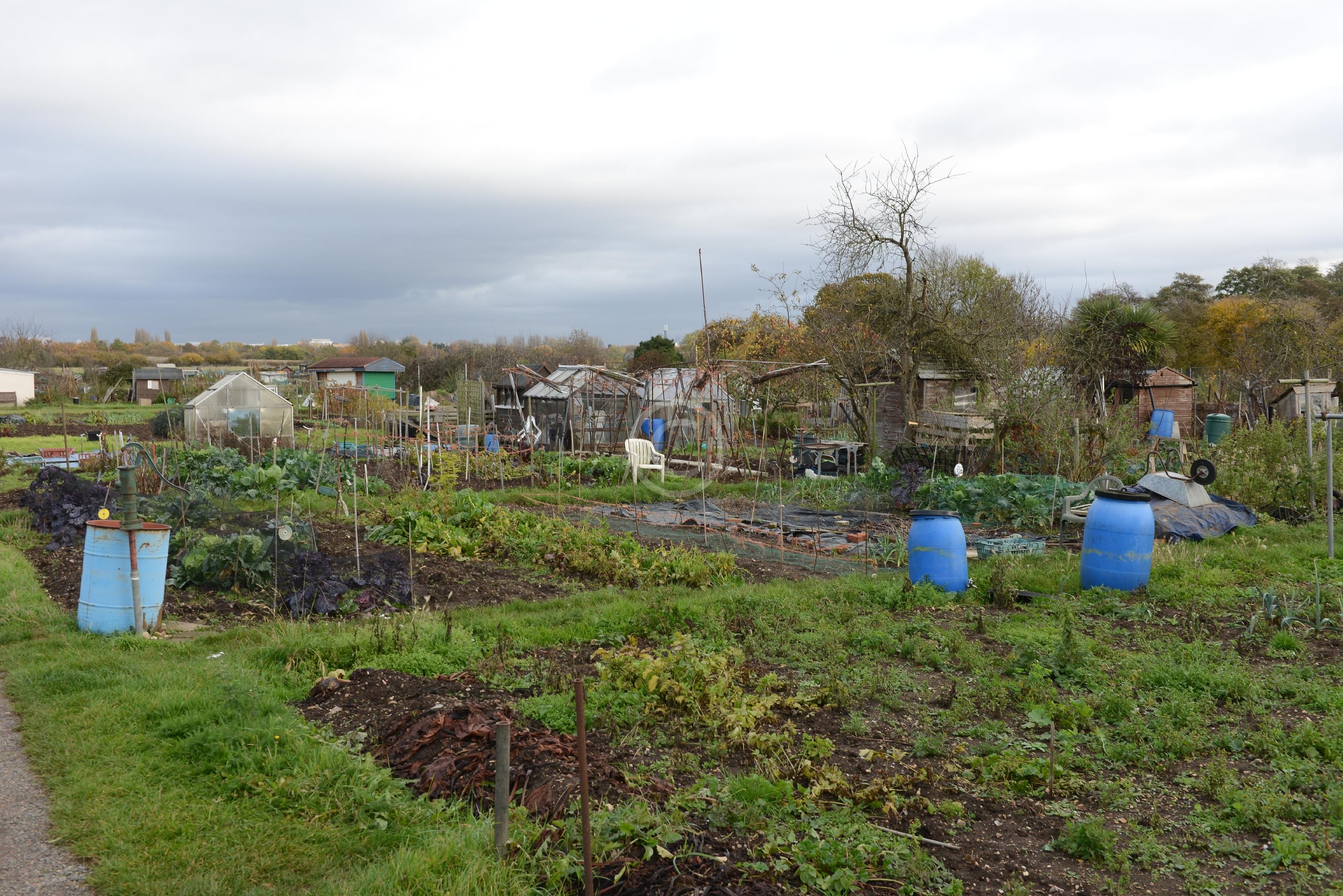 ETON WICK 127063 Photo 1 of 5 Baylis Media Photos