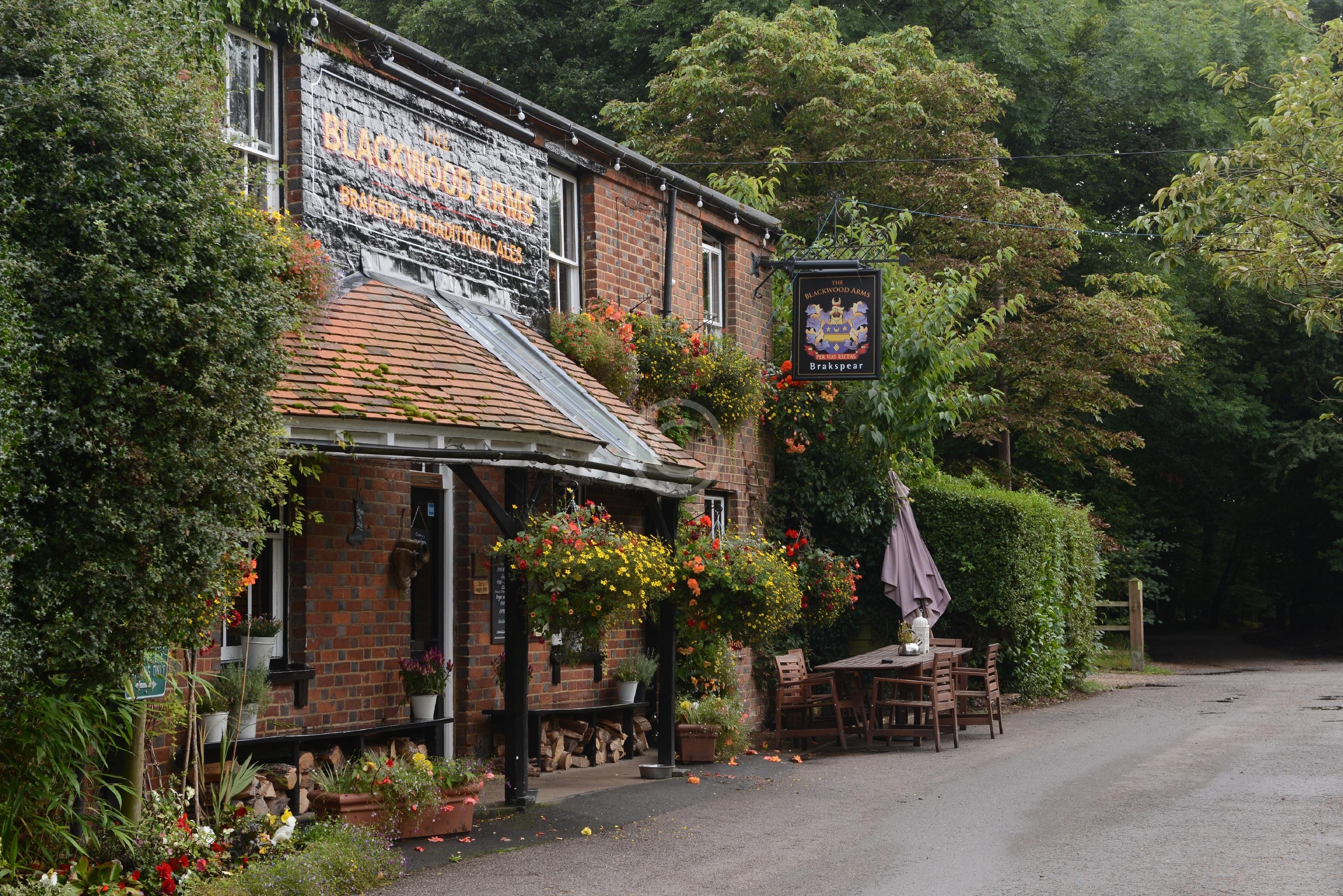 FARNHAM COMMON 127107 Photo 1 of 3 Baylis Media Photos