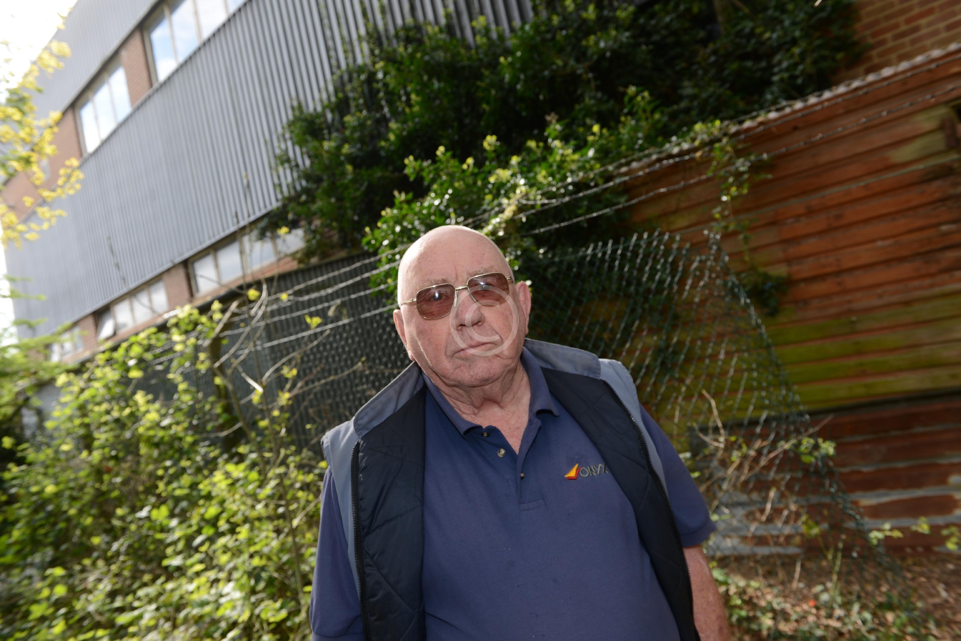 WINDSOR 127928 Photo 2 of 7 Baylis Media Photos