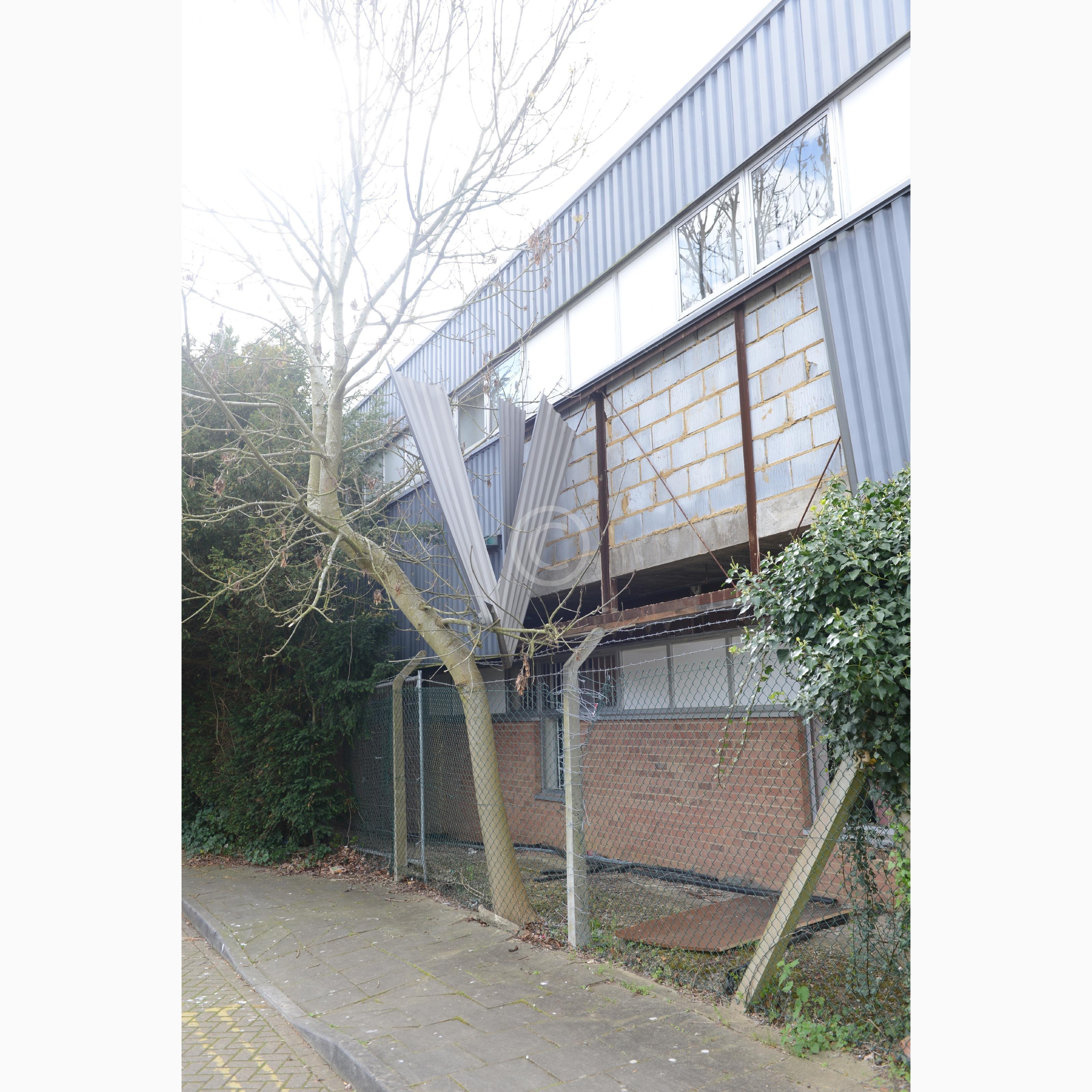 WINDSOR 127928 Photo 2 of 7 Baylis Media Photos