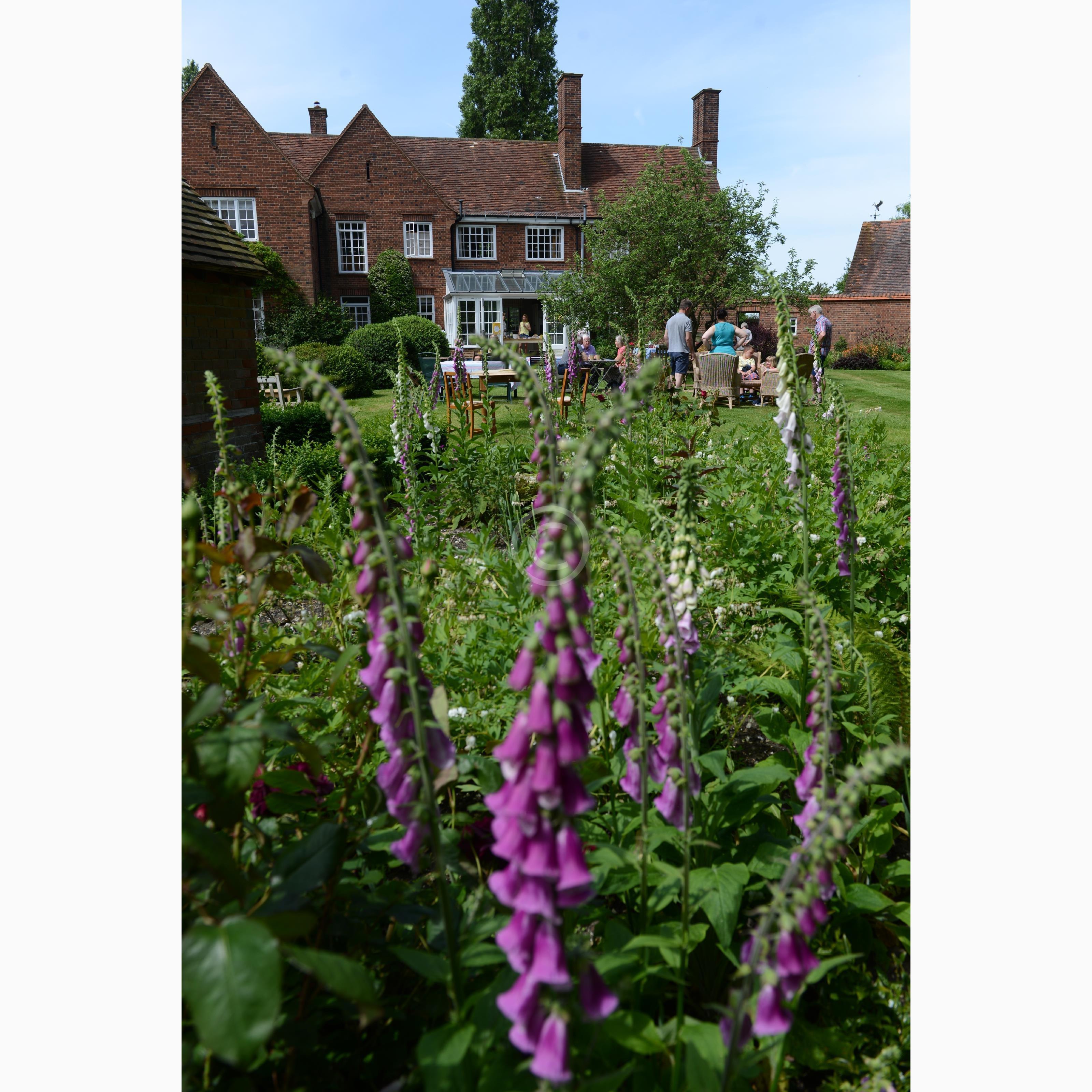 PINKNEYS GREEN 128177 Photo 1 of 30 Baylis Media Photos