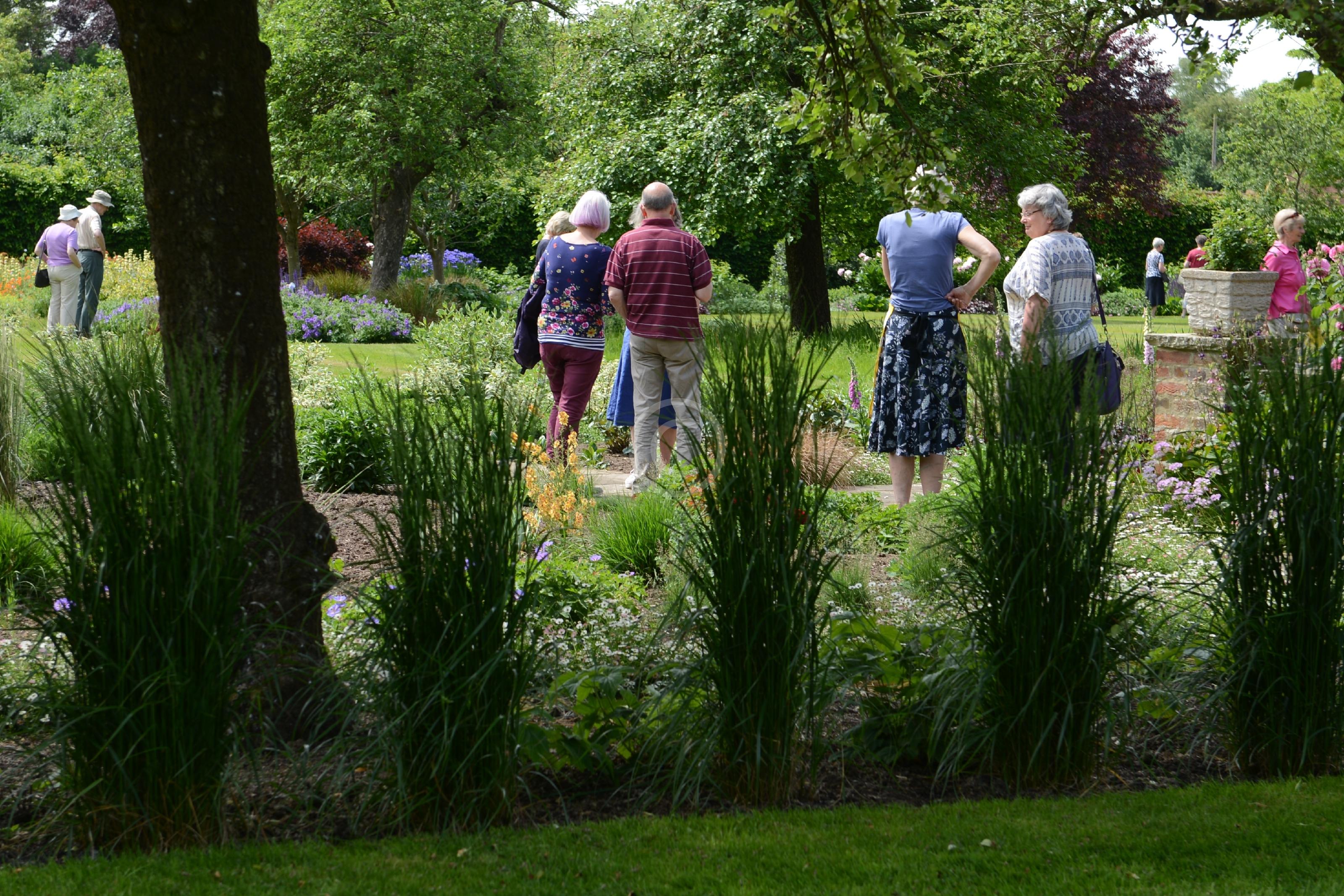 PINKNEYS GREEN 128177 Photo 1 of 30 Baylis Media Photos