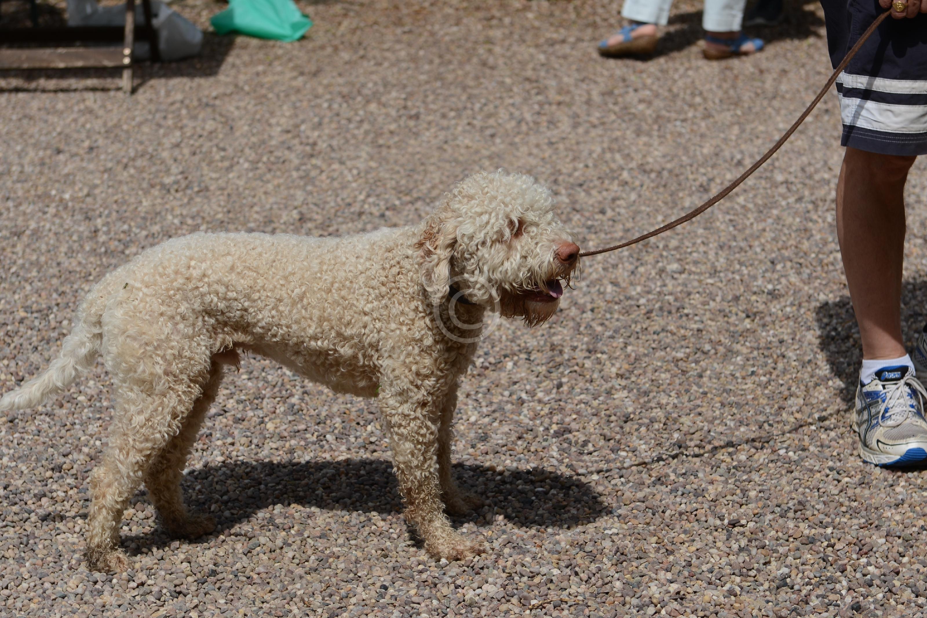 PINKNEYS GREEN 128177 Photo 1 of 30 Baylis Media Photos