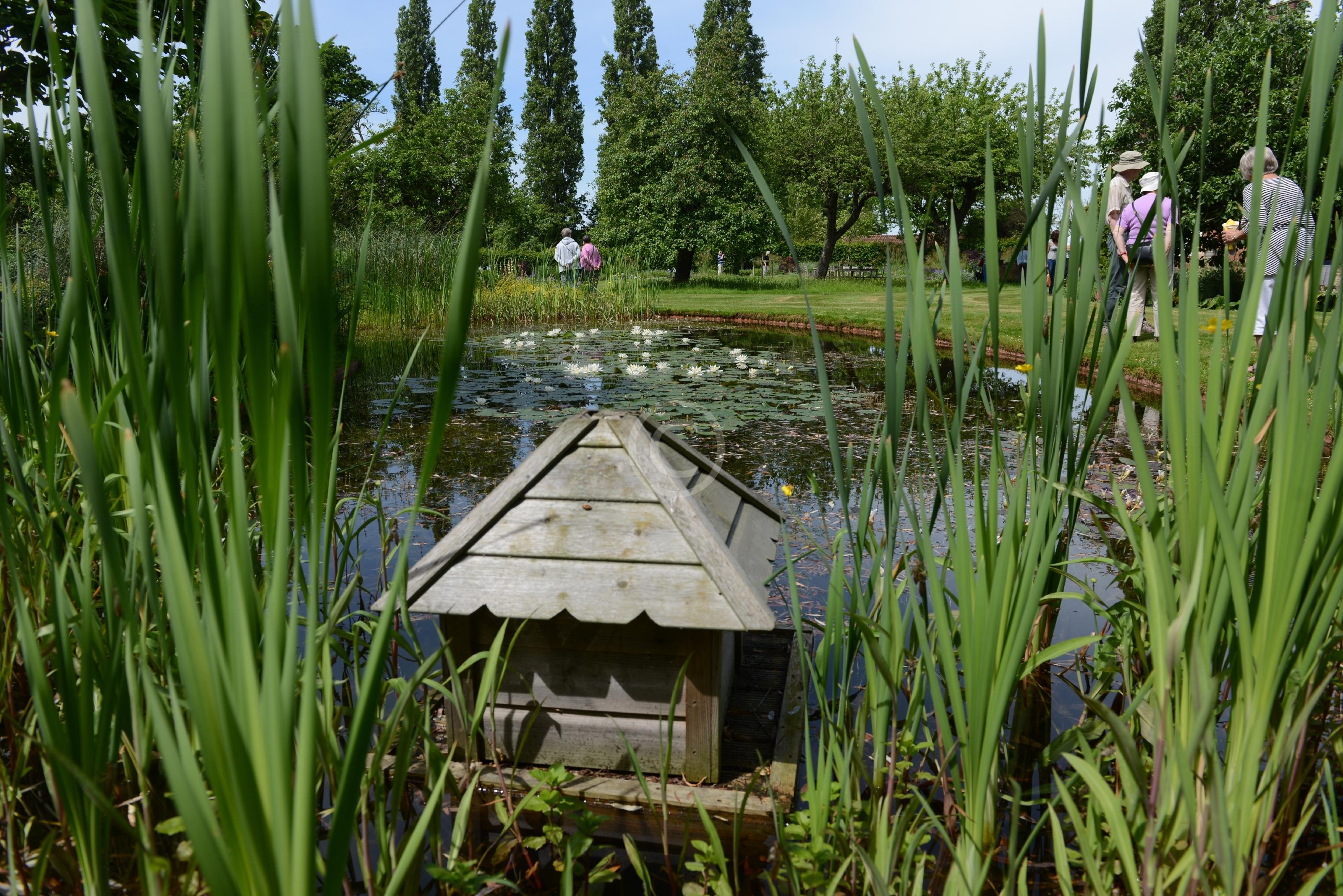 PINKNEYS GREEN 128177 Photo 1 of 30 Baylis Media Photos