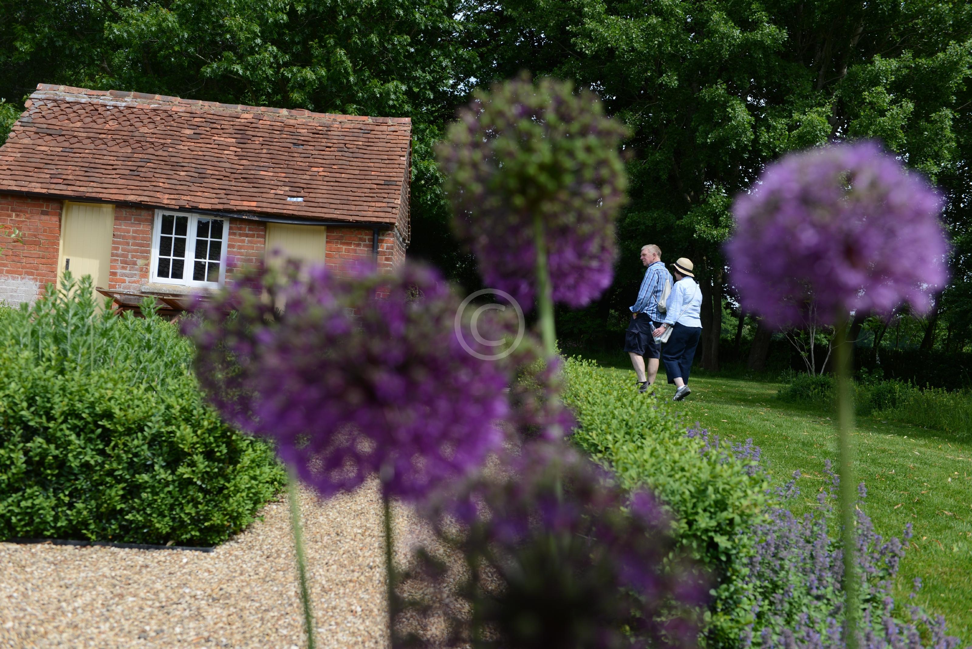 PINKNEYS GREEN 128177 Photo 1 of 30 Baylis Media Photos