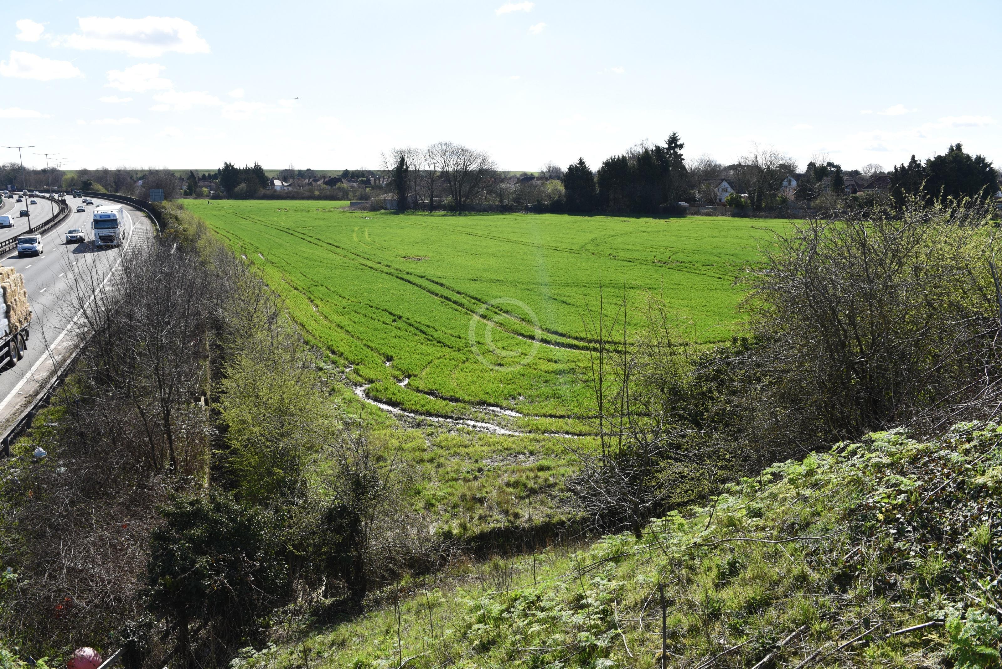 DATCHET 129636 Photo 2 of 14 Baylis Media Photos