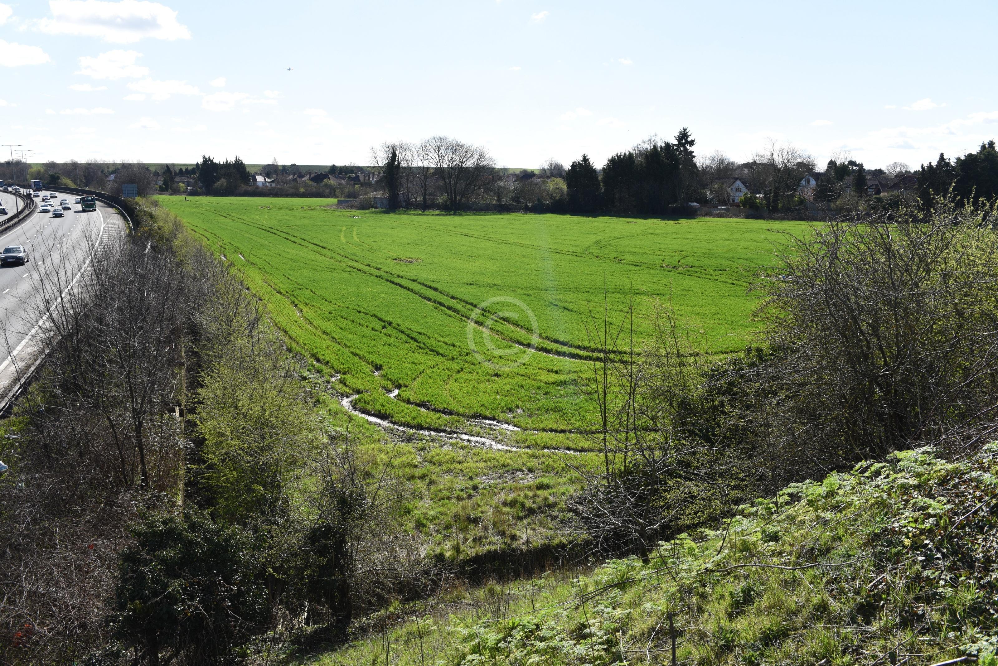 DATCHET 129636 Photo 2 of 14 Baylis Media Photos