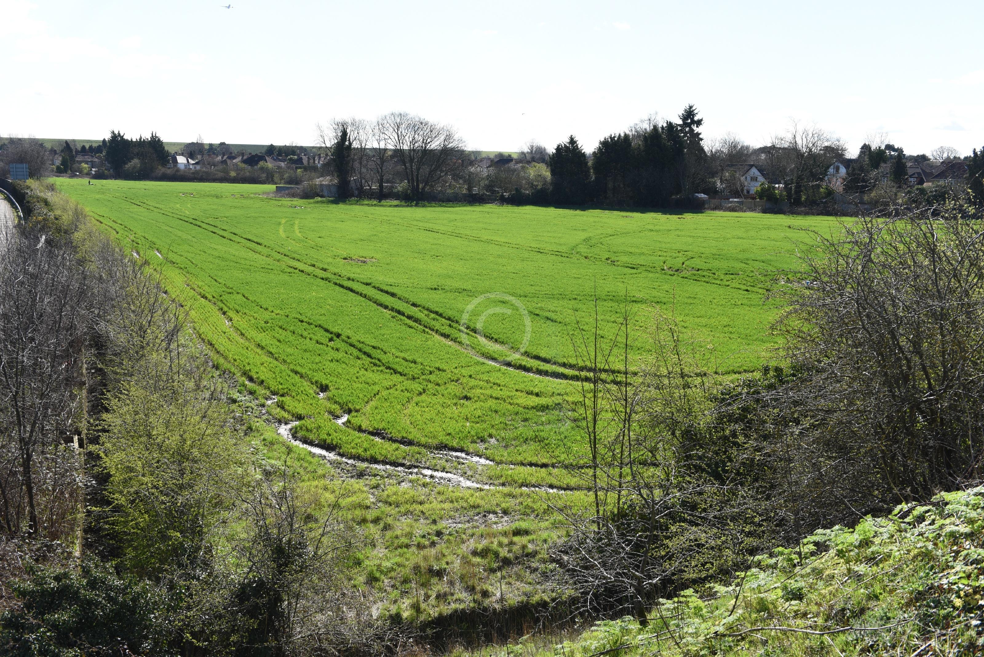 DATCHET 129636 Photo 2 of 14 Baylis Media Photos