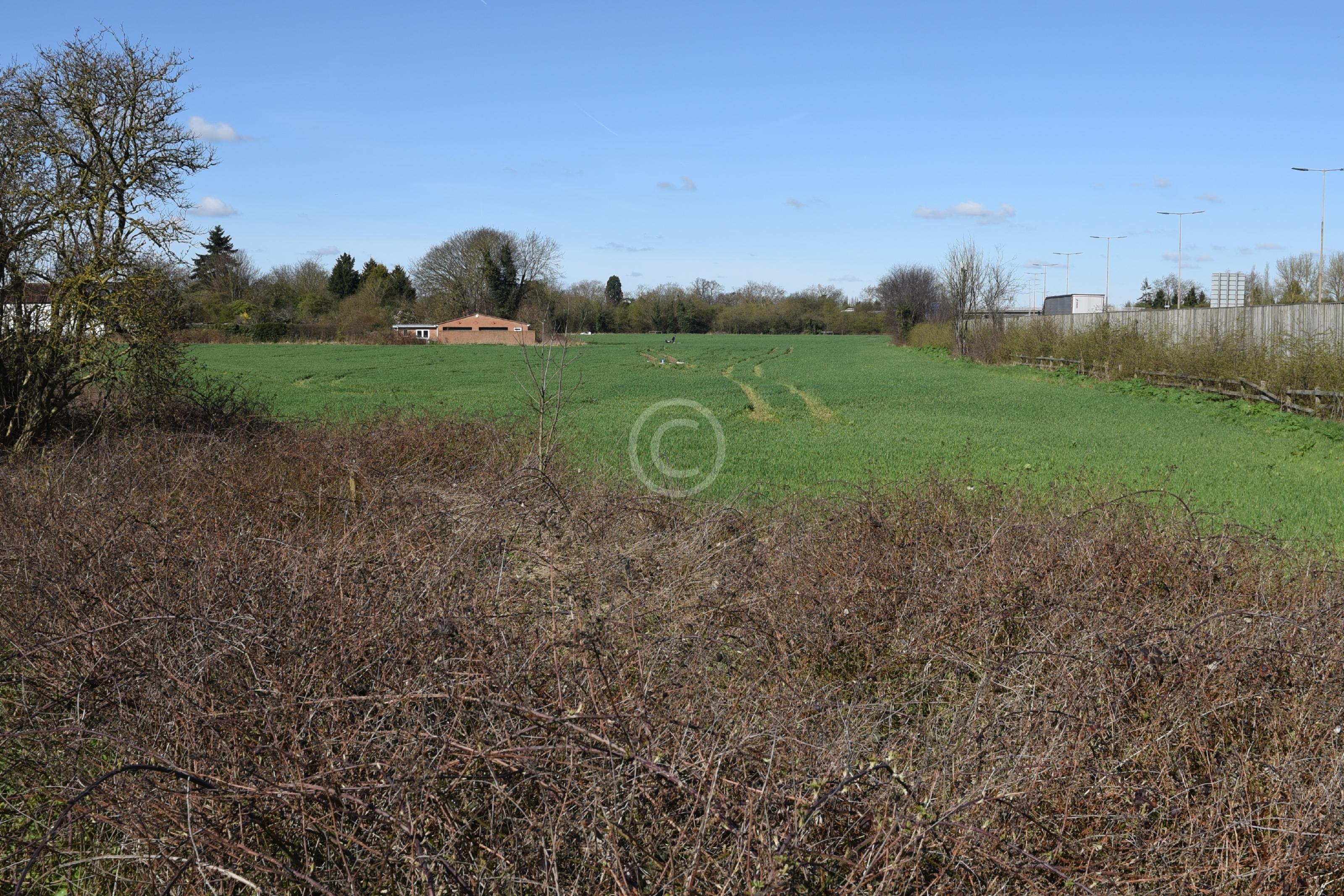 DATCHET 129636 Photo 2 of 14 Baylis Media Photos