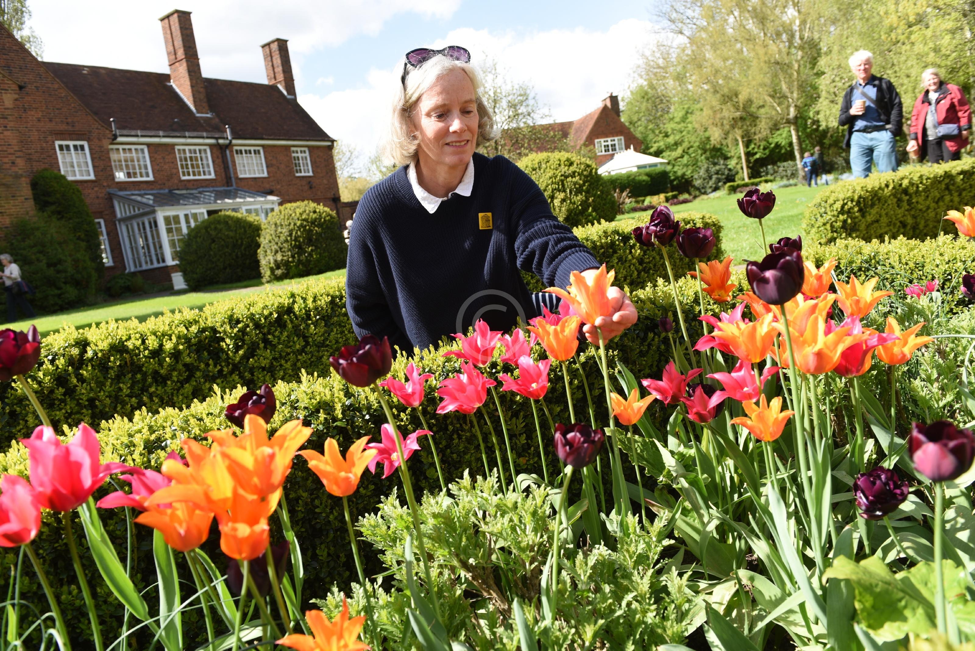 PINKNEYS GREEN 129738 Photo 1 of 19 Baylis Media Photos