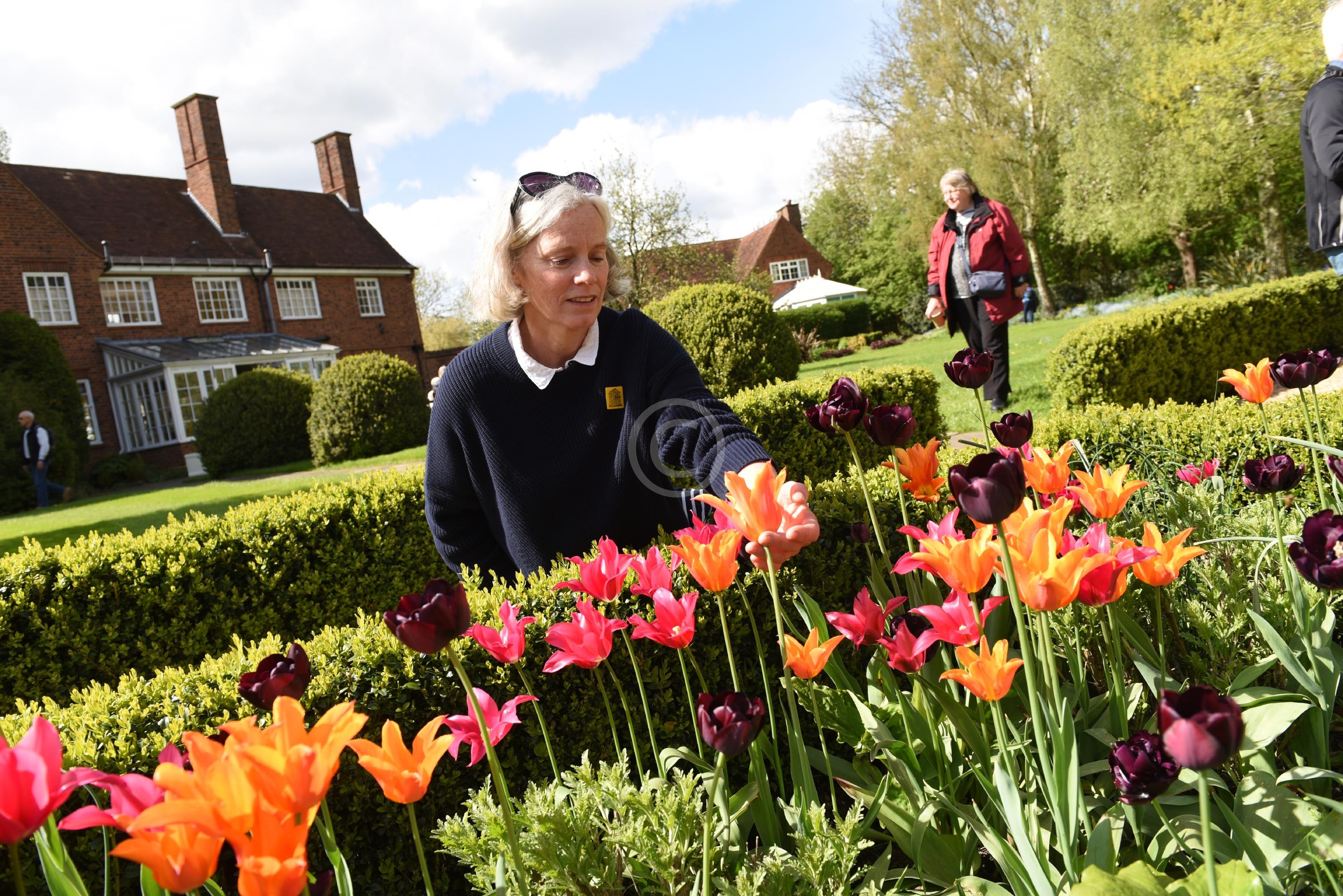 PINKNEYS GREEN 129738 Photo 1 of 19 Baylis Media Photos
