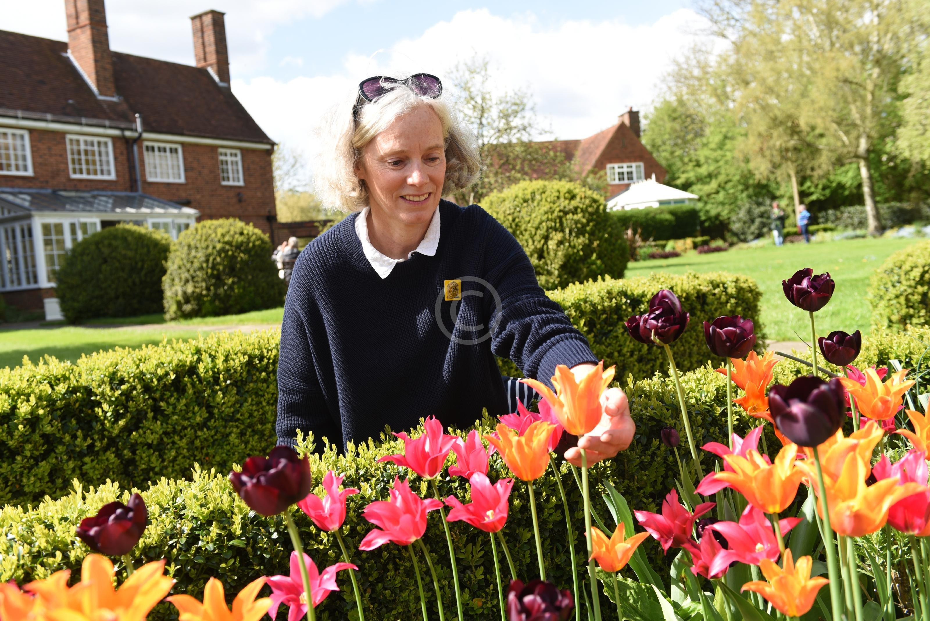 PINKNEYS GREEN 129738 Photo 1 of 19 Baylis Media Photos