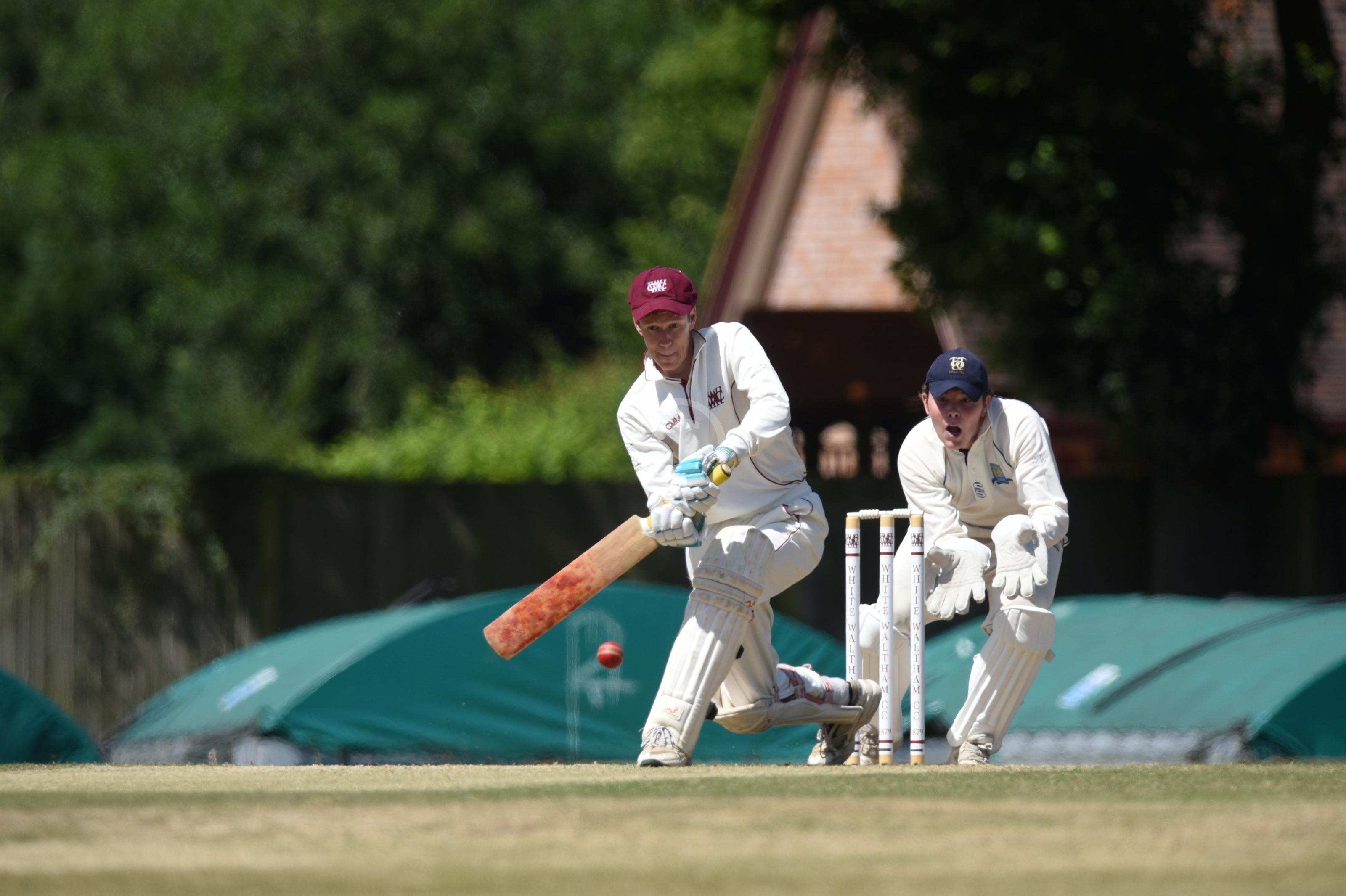 CRICKET 130007 Photo 1 of 7