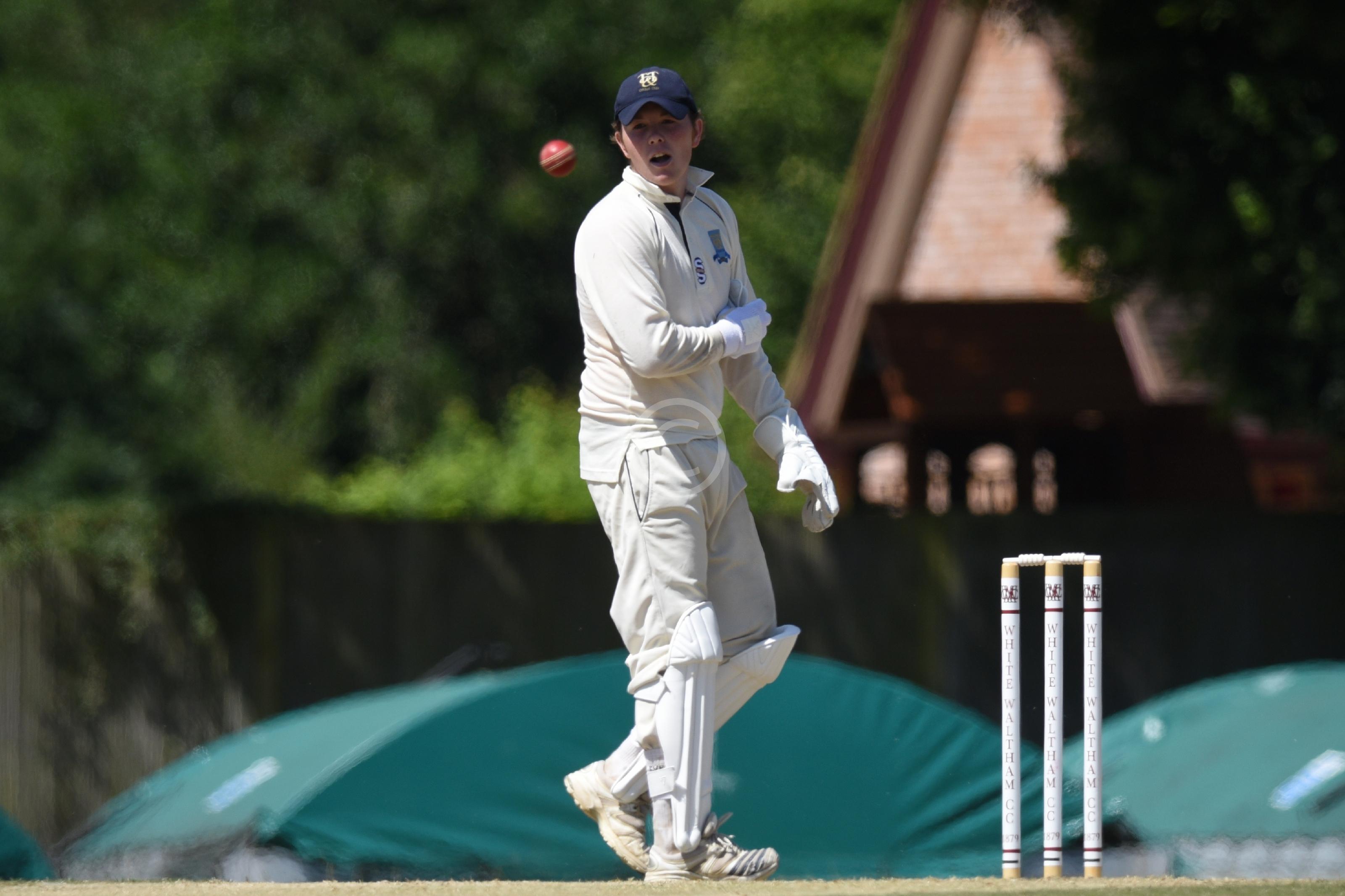 CRICKET 130007 Photo 1 of 7