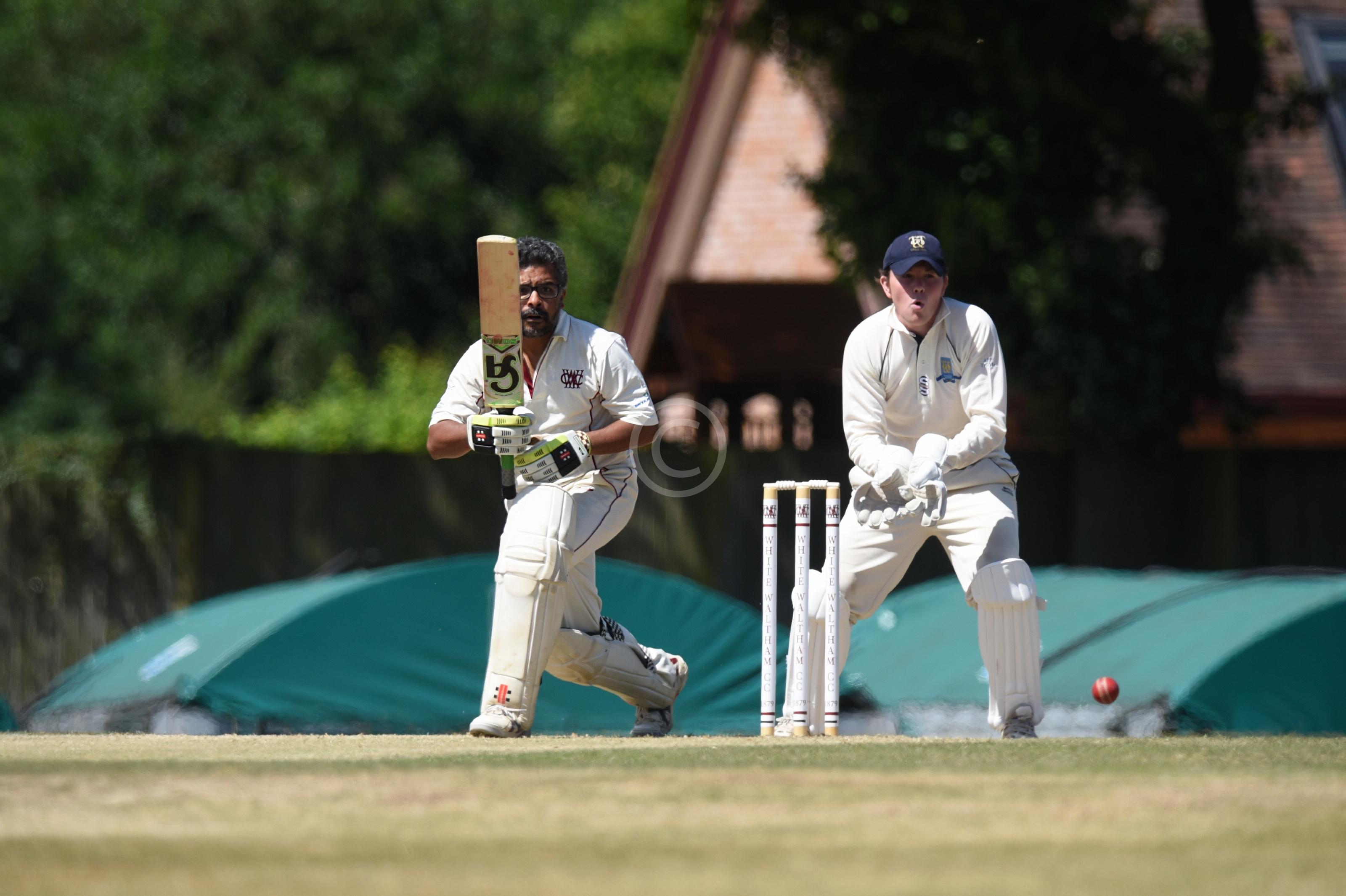 CRICKET 130007 Photo 1 of 7