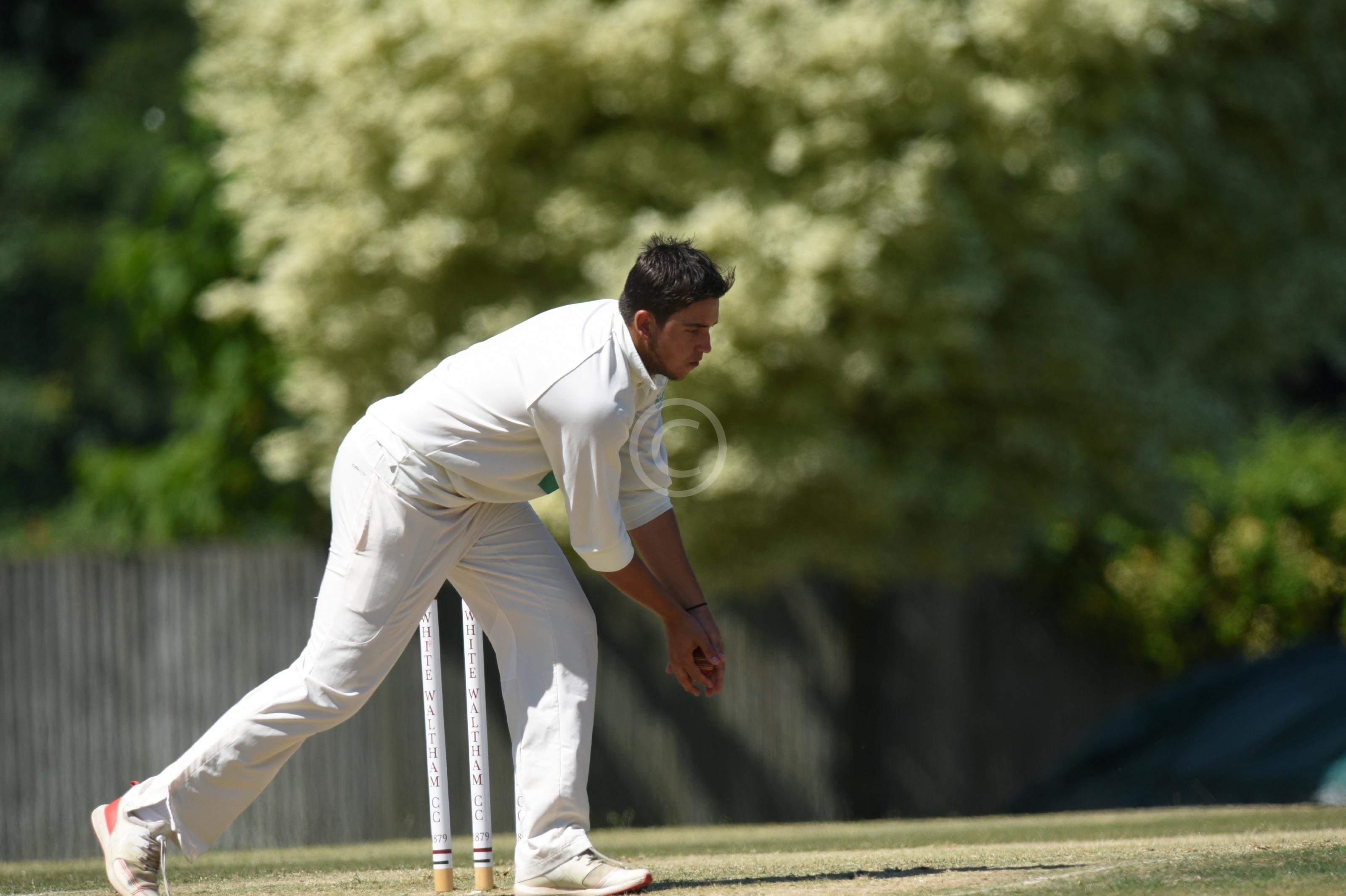 CRICKET 130007 Photo 1 of 7