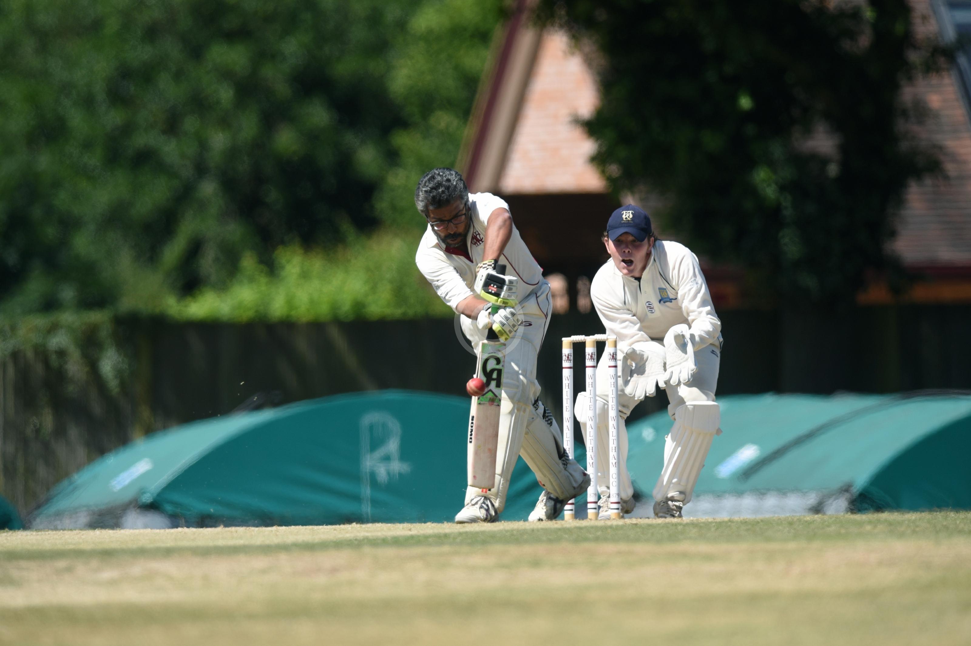 CRICKET 130007 Photo 1 of 7