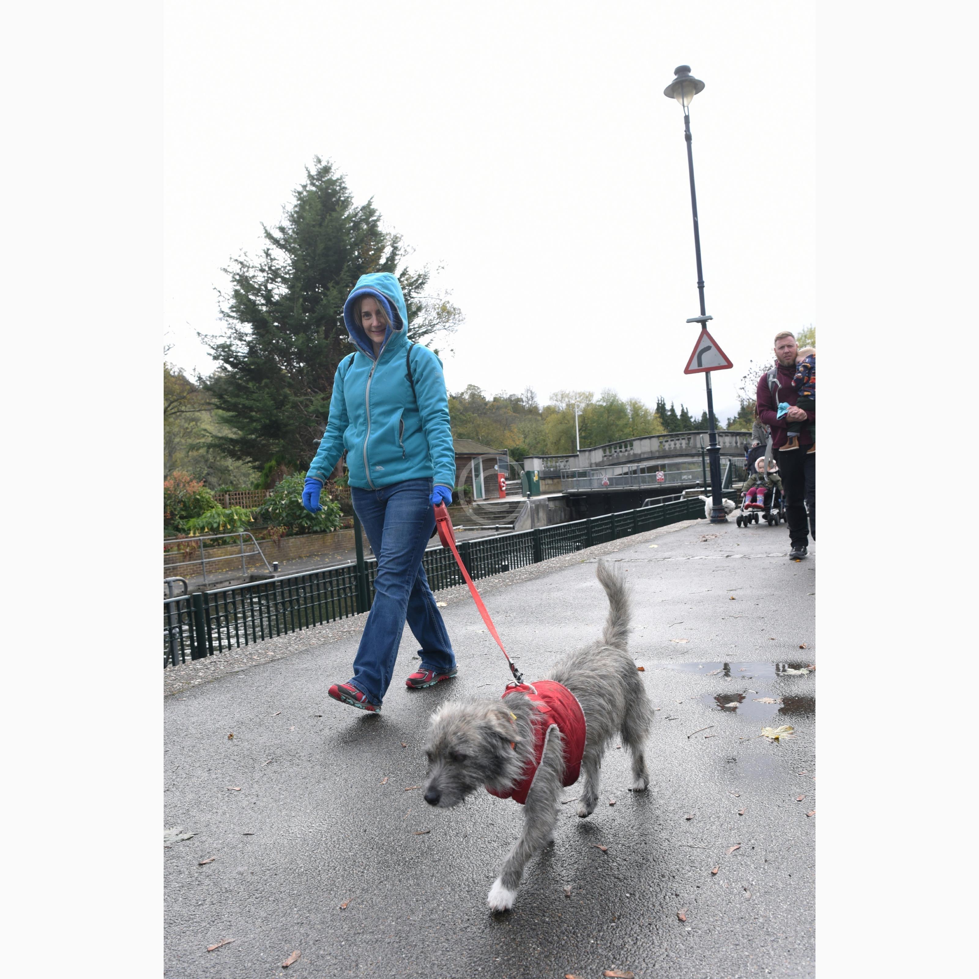 MAIDENHEAD 130530 Photo 1 of 12 Baylis Media Photos