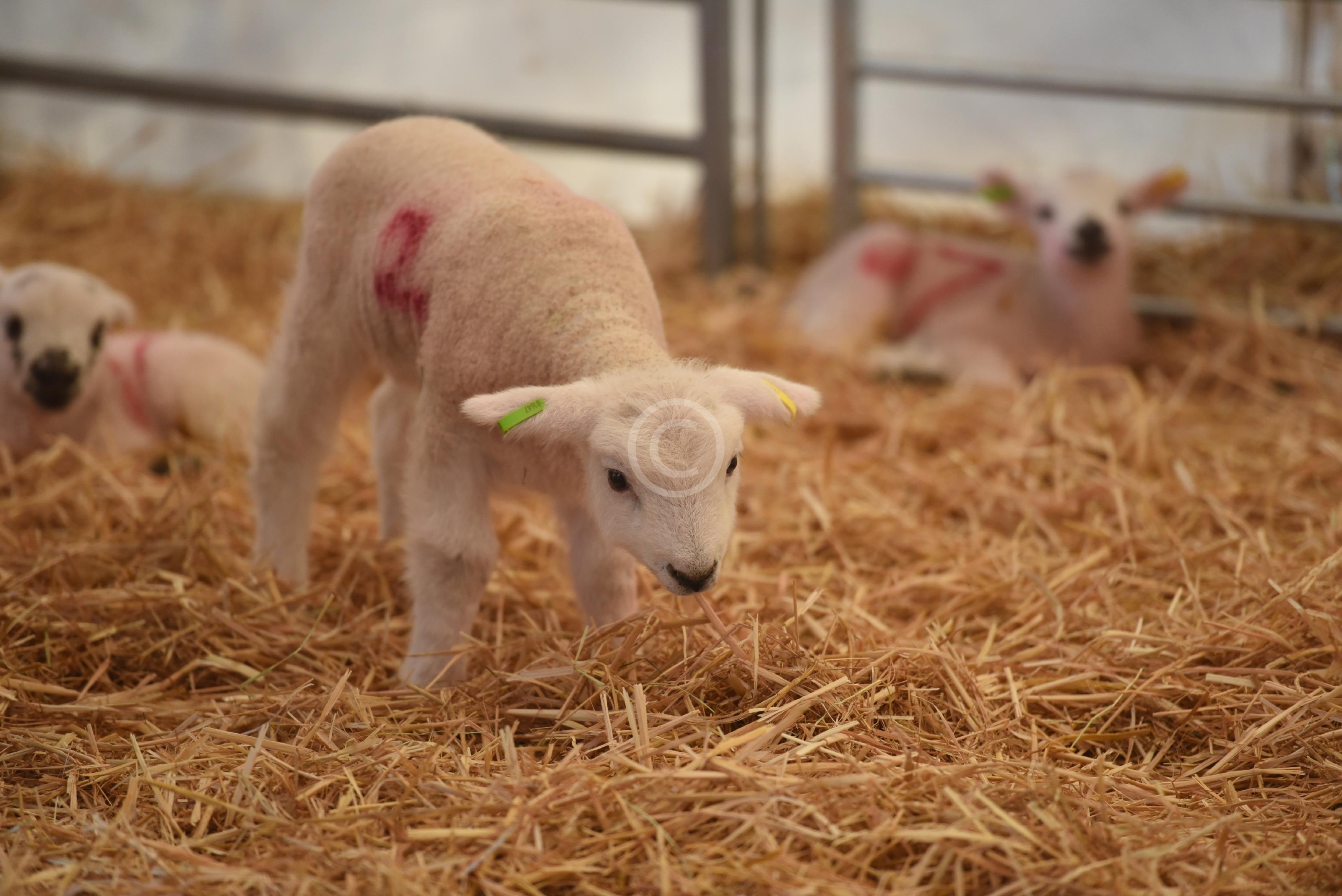 WOOBURN COMMON 130967 Photo 1 of 18 Baylis Media Photos