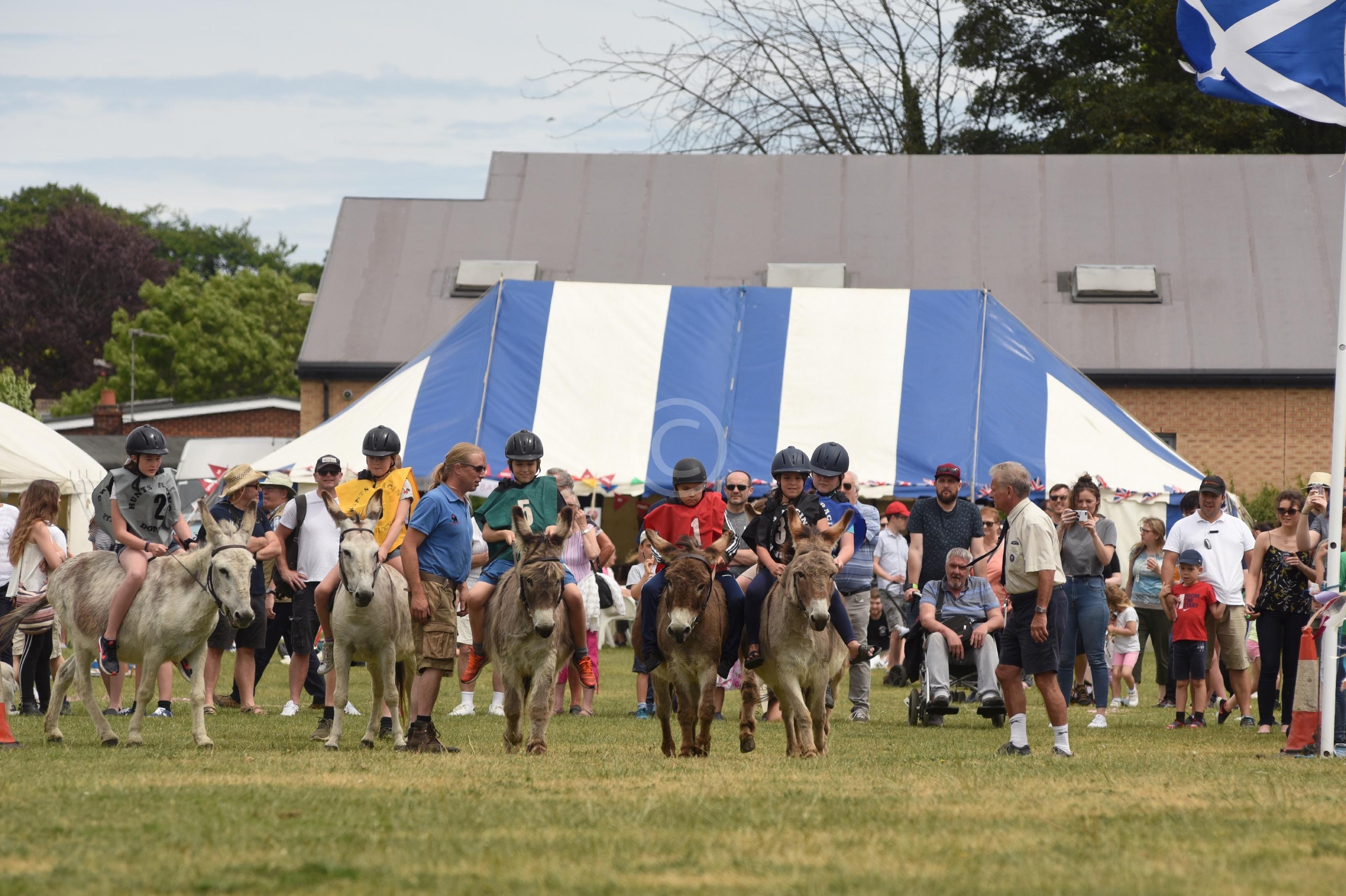 TWYFORD 131365 Photo 1 of 13 Baylis Media Photos