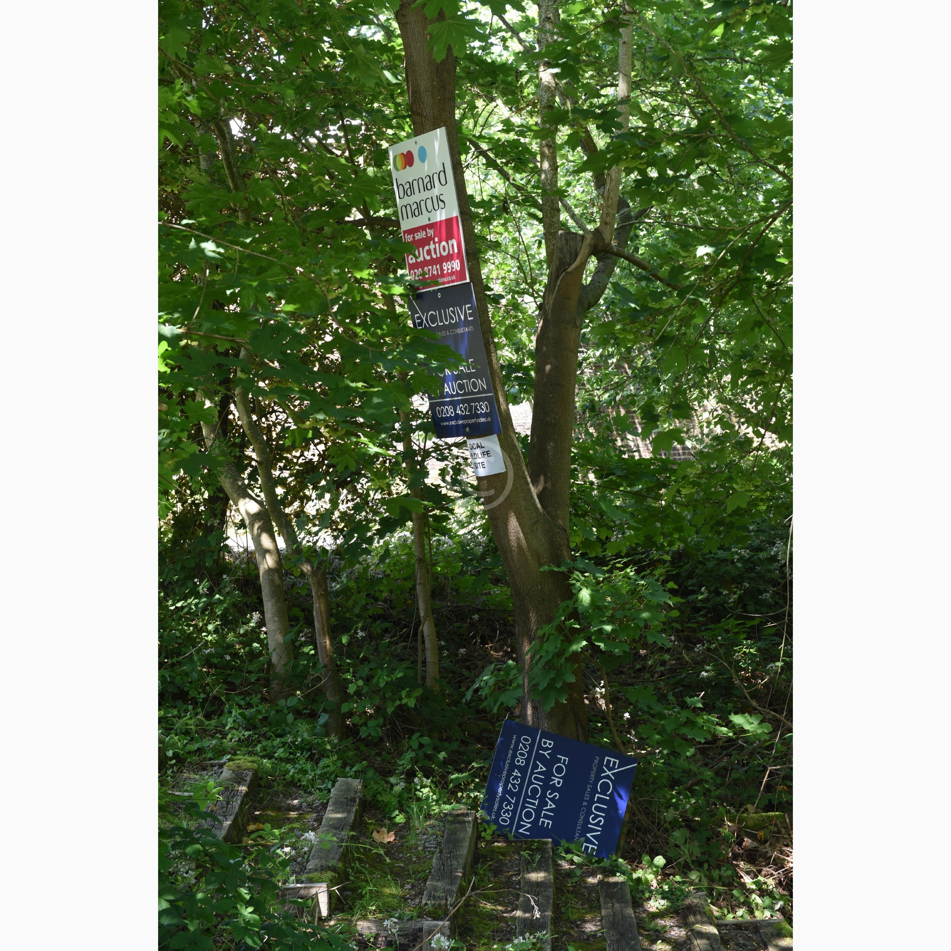 WINDSOR 131477 Photo 1 of 18 Baylis Media Photos