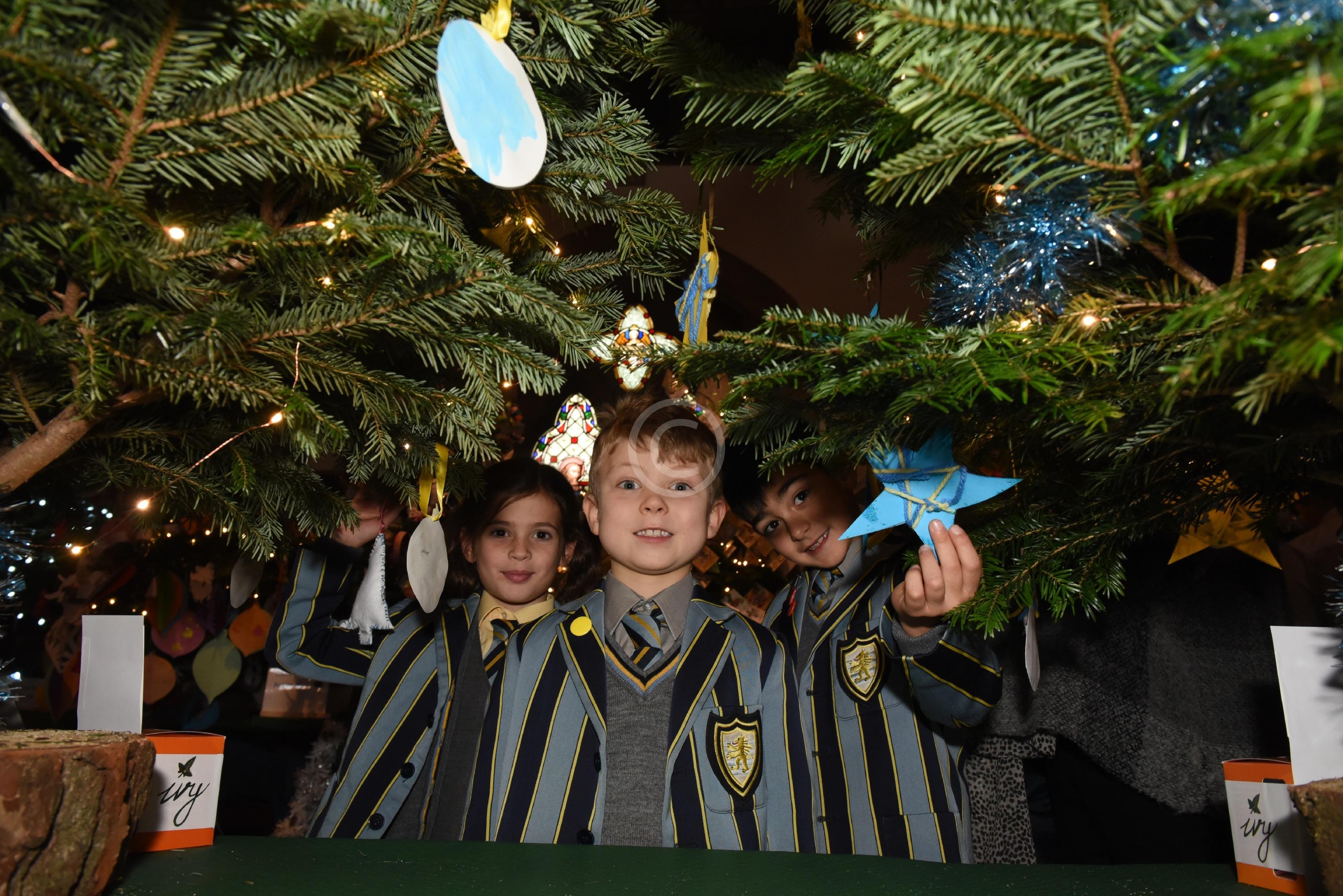 MAIDENHEAD 132238 Photo 1 of 17 Baylis Media Photos