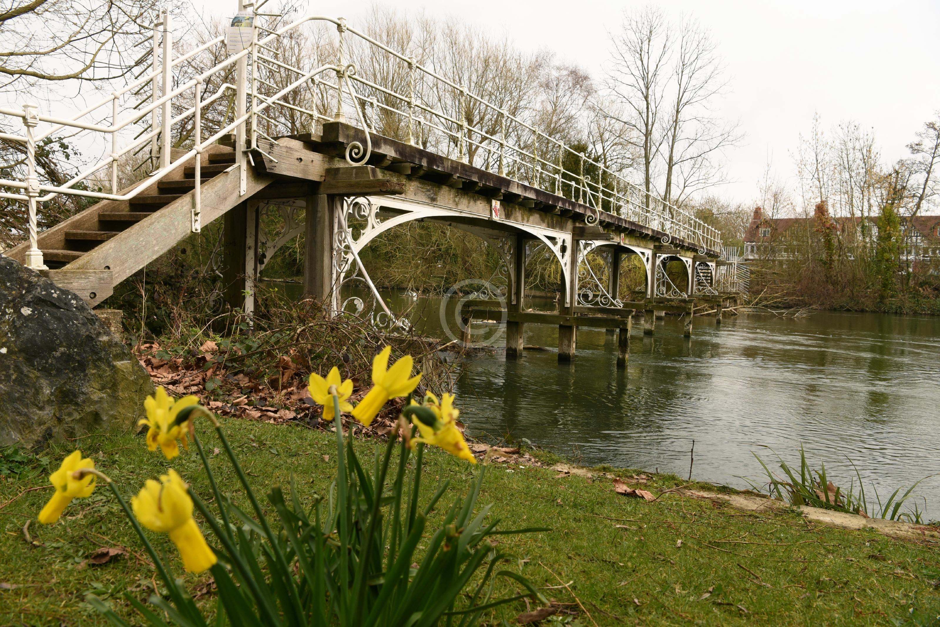 MAIDENHEAD 133414 Photo 1 of 4 Baylis Media Photos