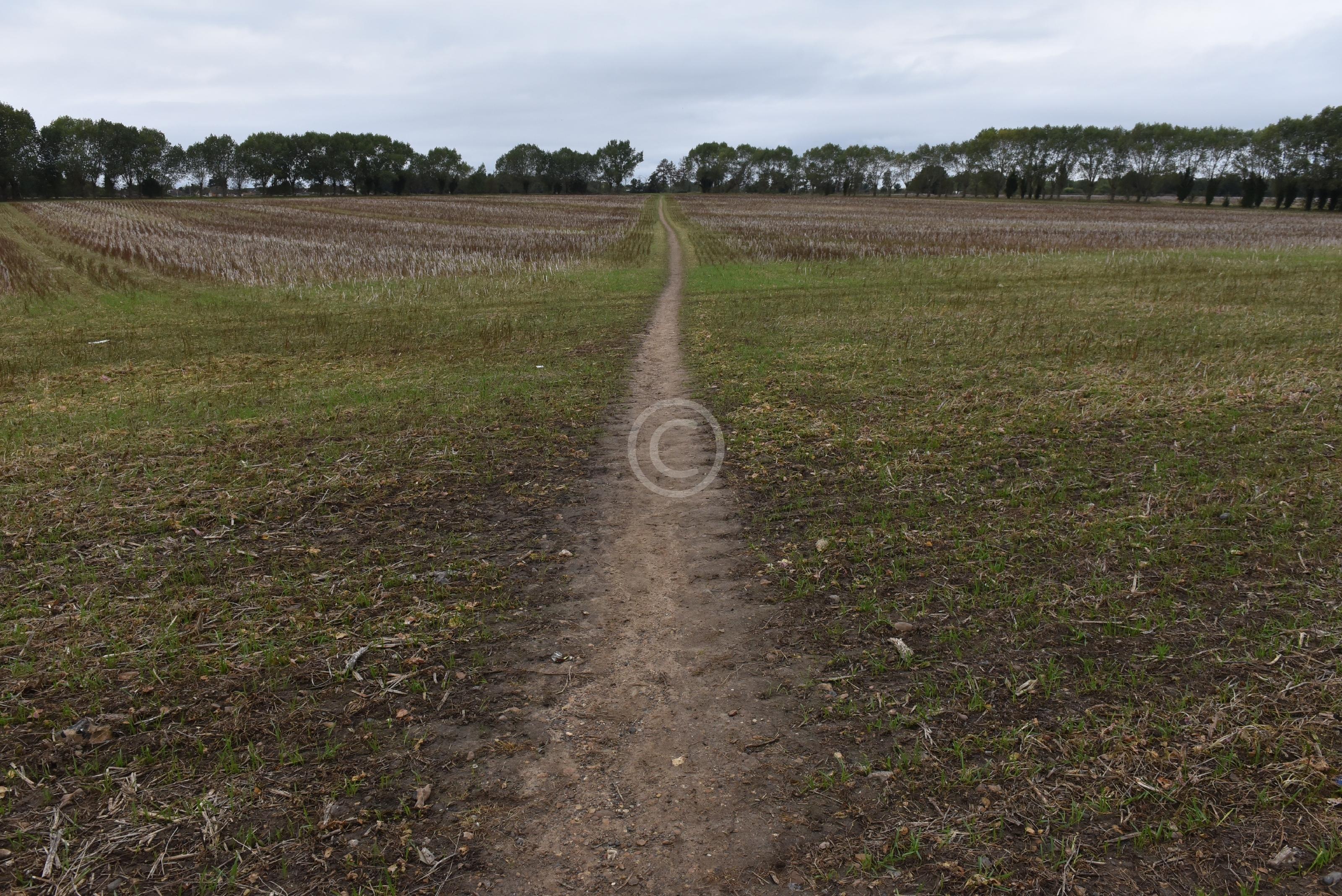 TWYFORD 133947 Photo 1 of 8 Baylis Media Photos