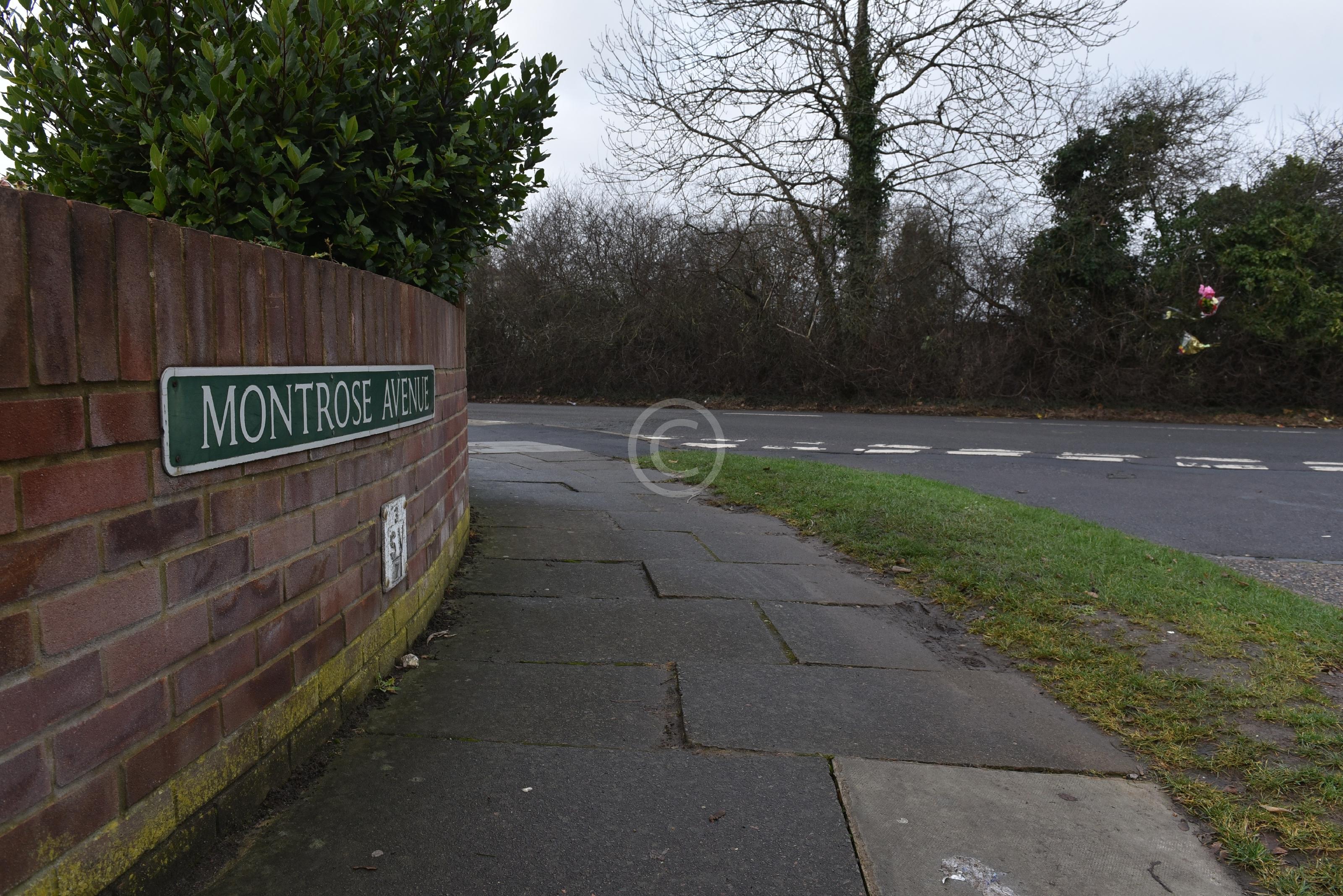 DATCHET 134108 Photo 1 of 11 Baylis Media Photos