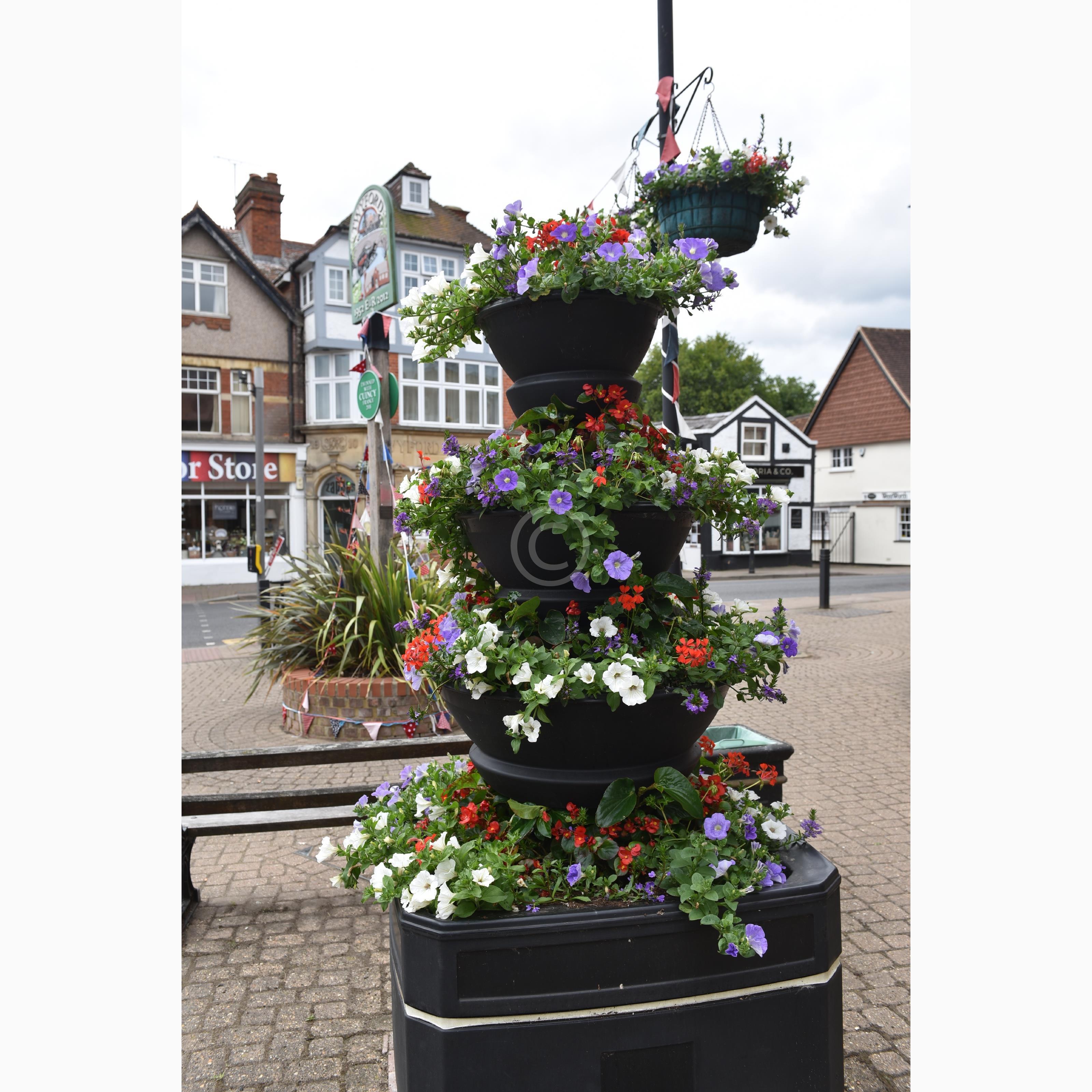 TWYFORD 134676 Photo 2 of 8 Baylis Media Photos