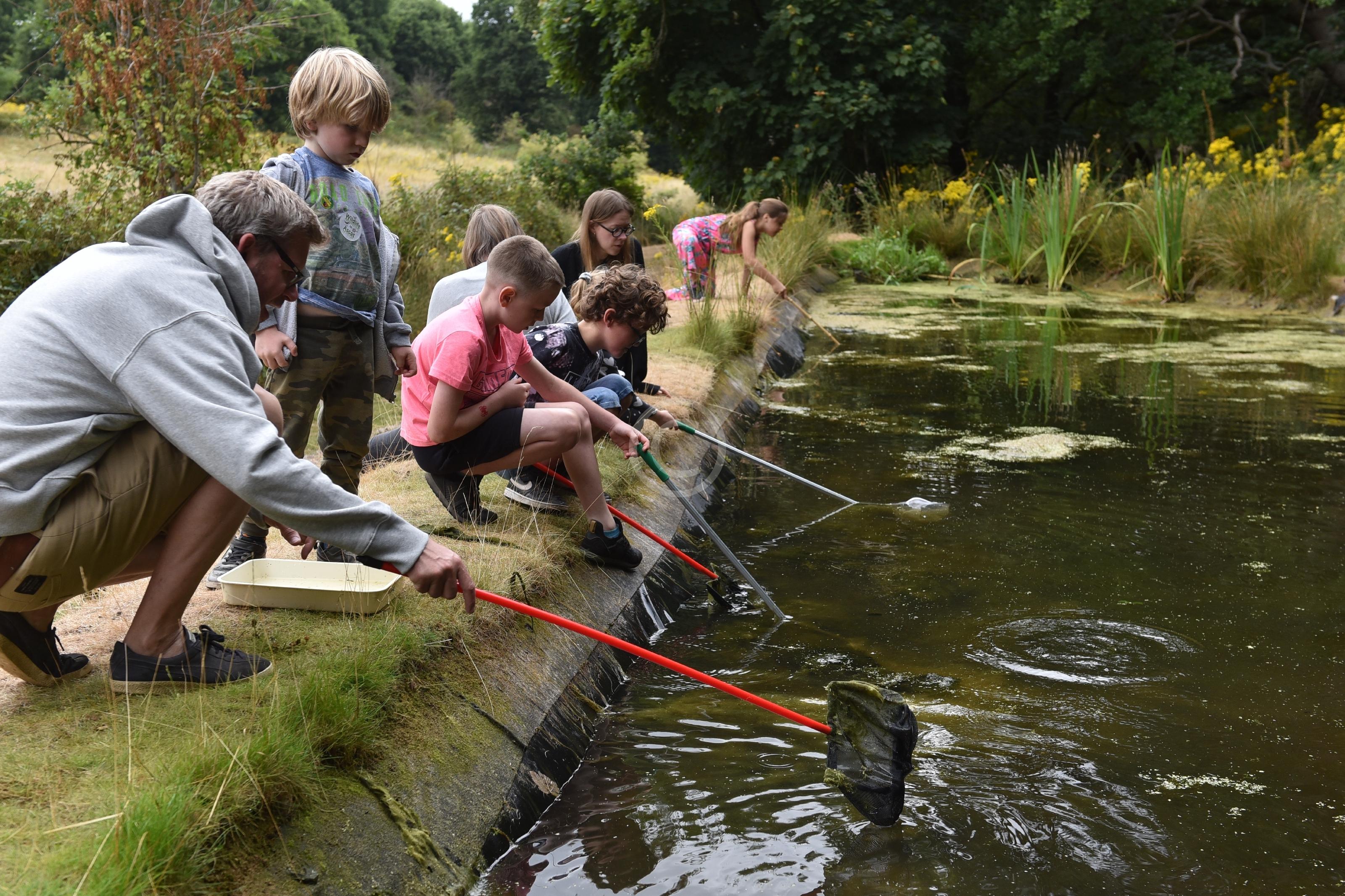 ASCOT 134722 Photo 1 of 49 Baylis Media Photos