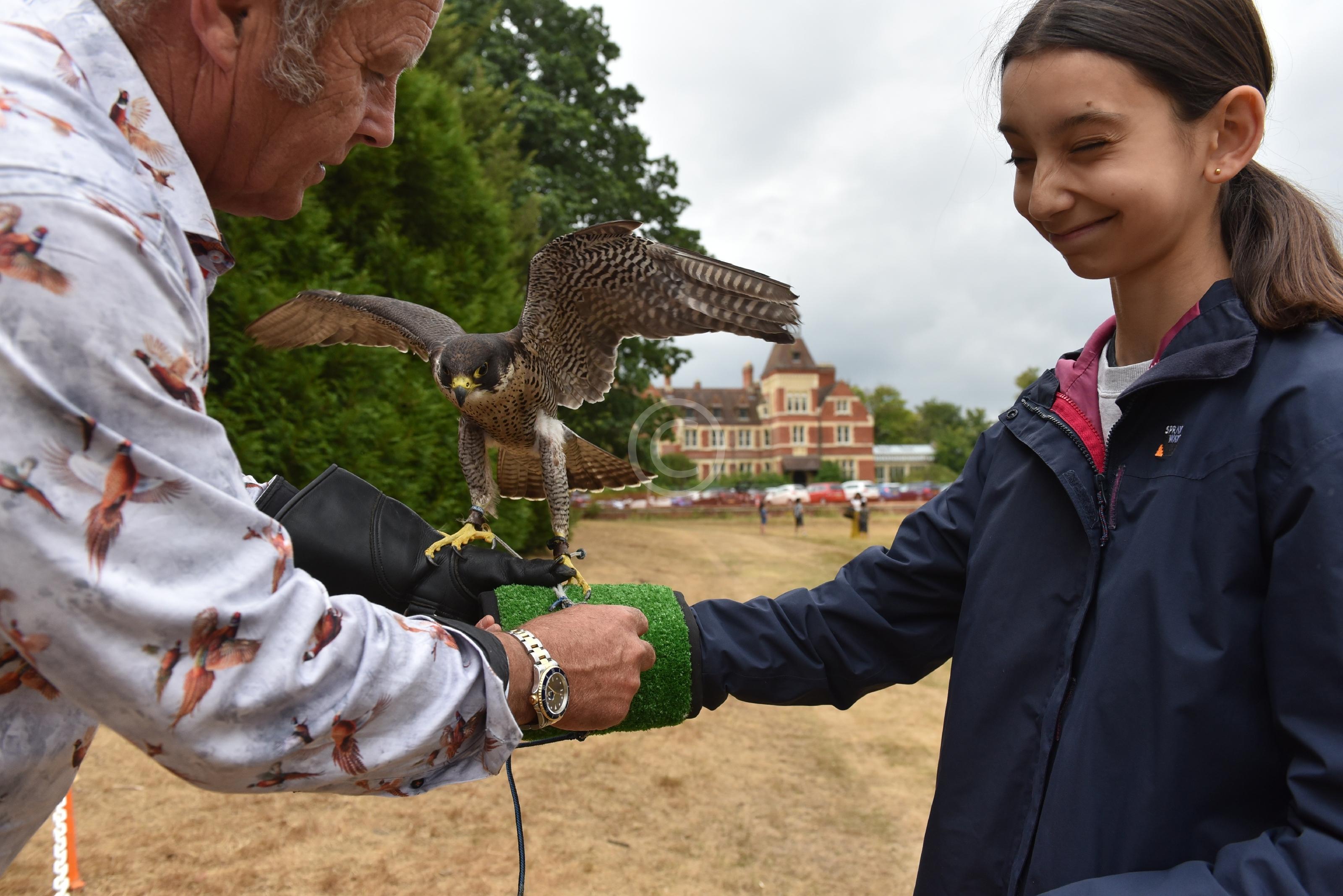 ASCOT 134722 Photo 1 of 49 Baylis Media Photos