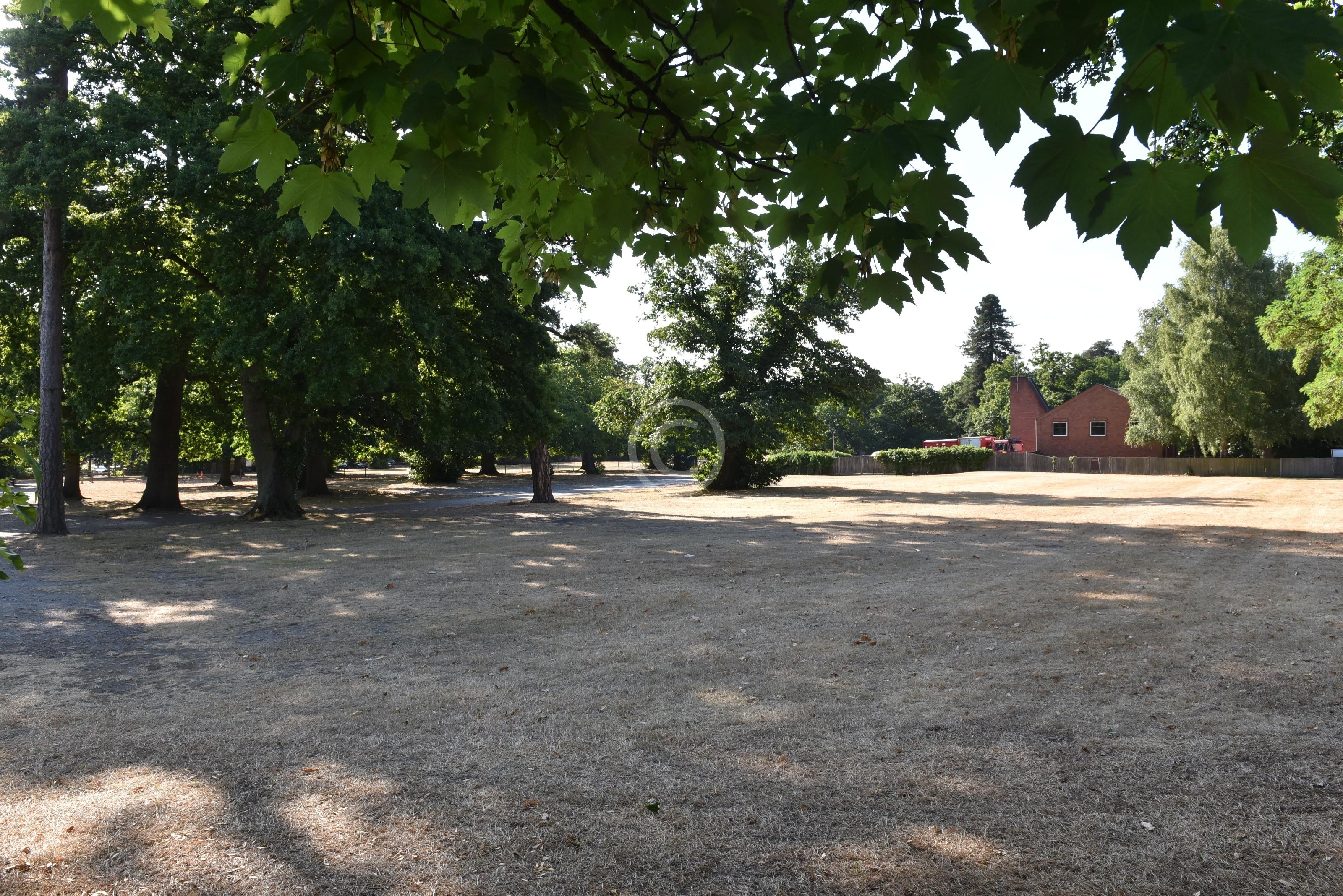 ASCOT 134734 Photo 1 of 10 Baylis Media Photos