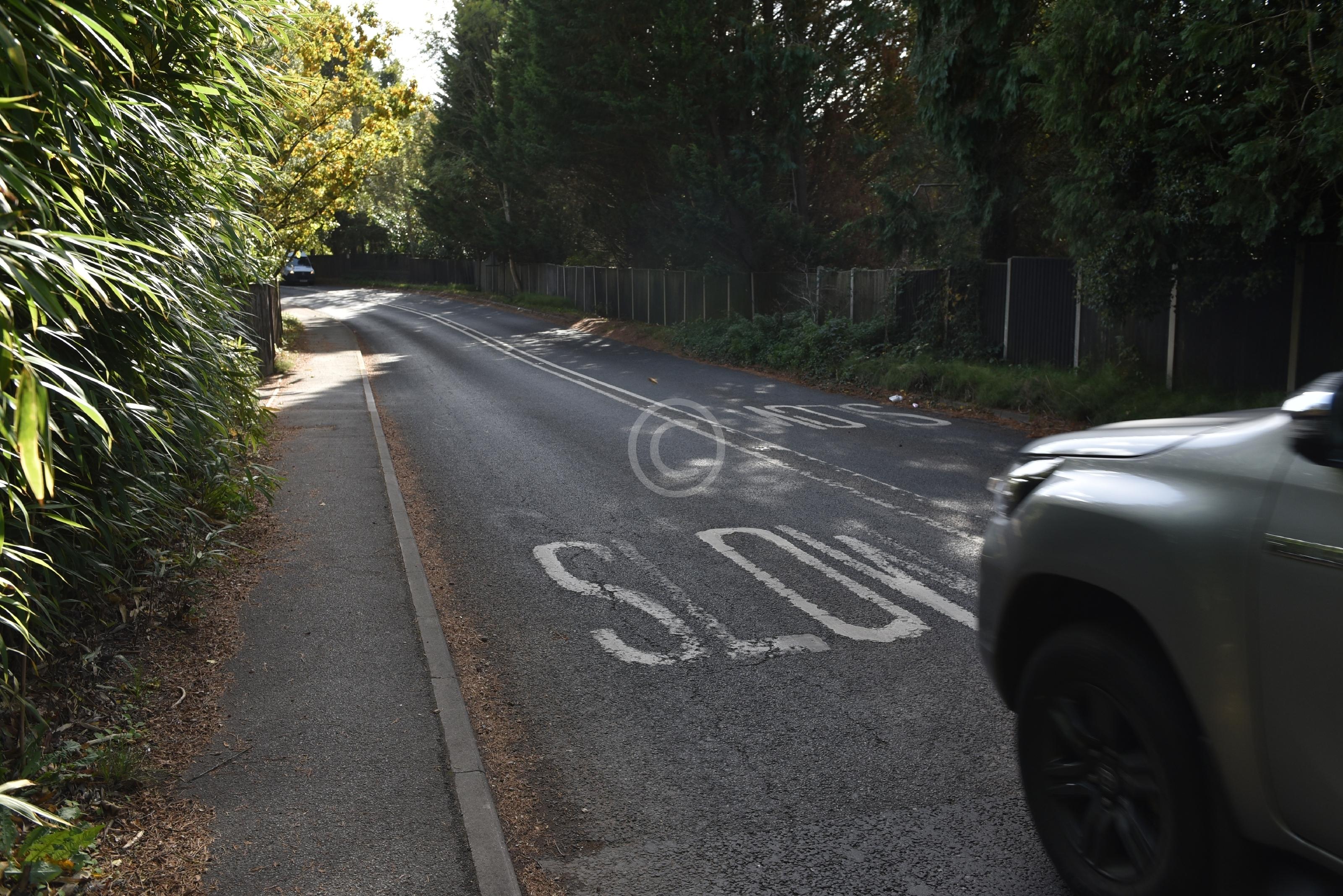 ASCOT 134954 Photo 1 of 11 Baylis Media Photos