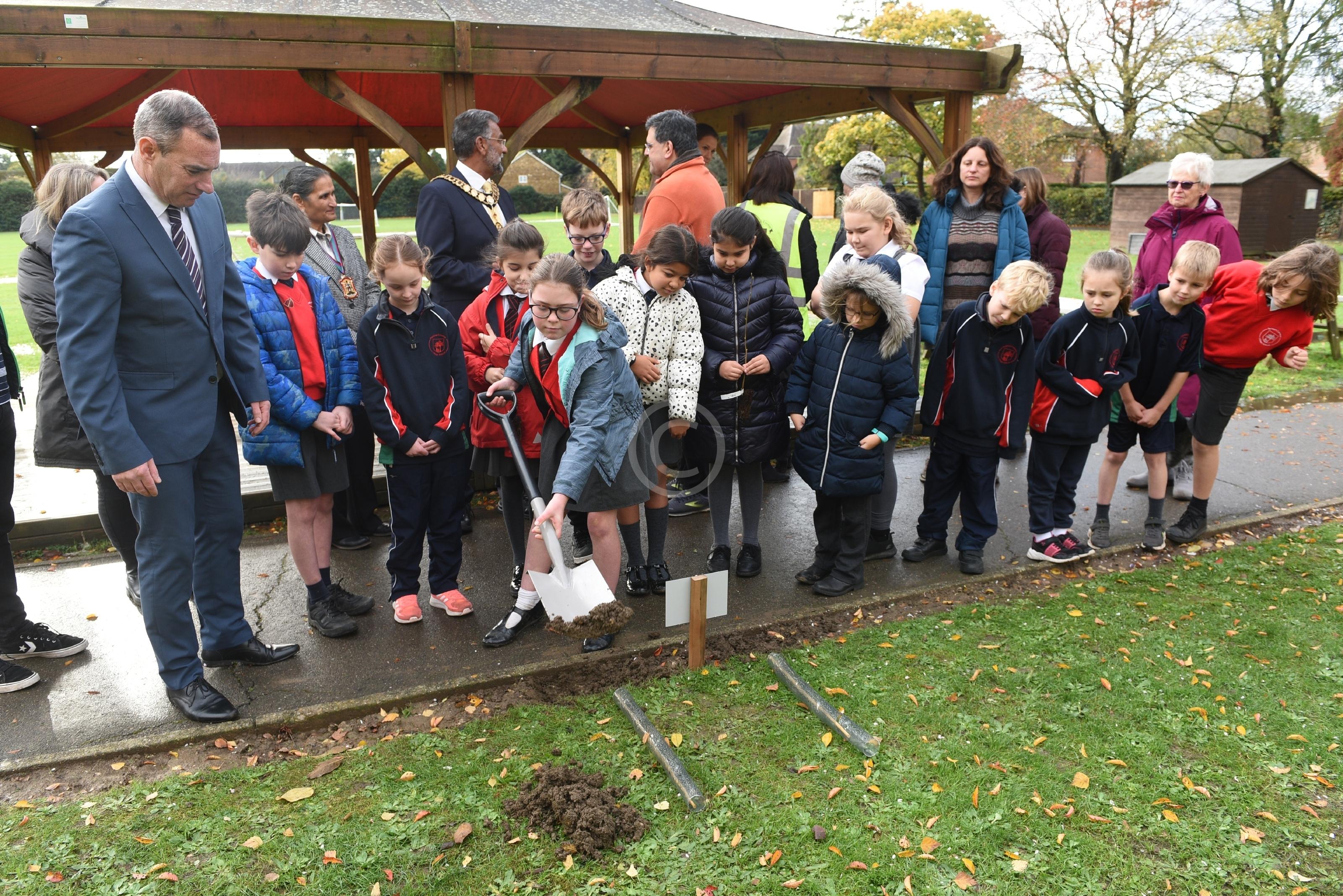 FARNHAM COMMON 135059 Photo 1 of 33 Baylis Media Photos