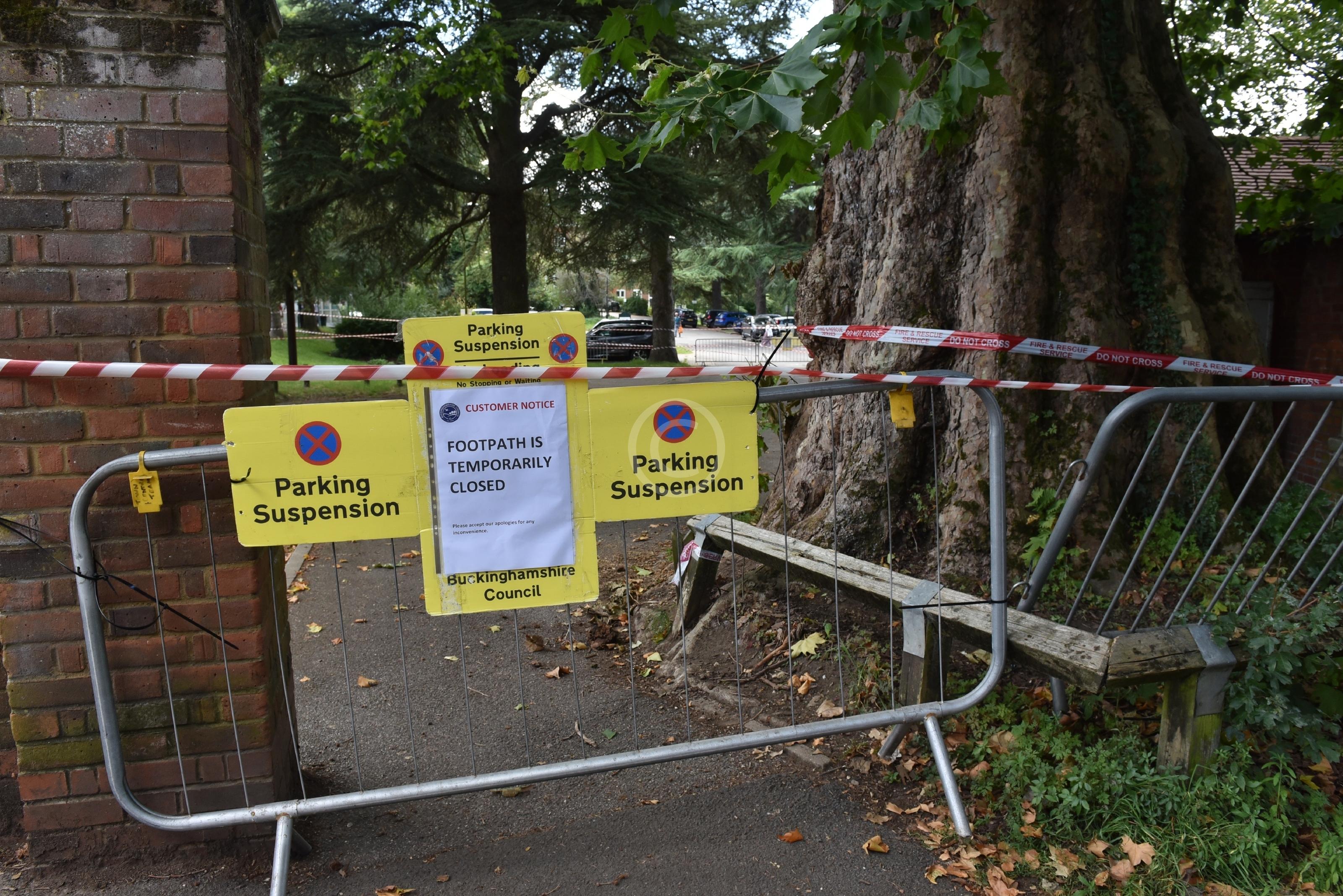 MARLOW 135690 Photo 1 of 35 Baylis Media Photos