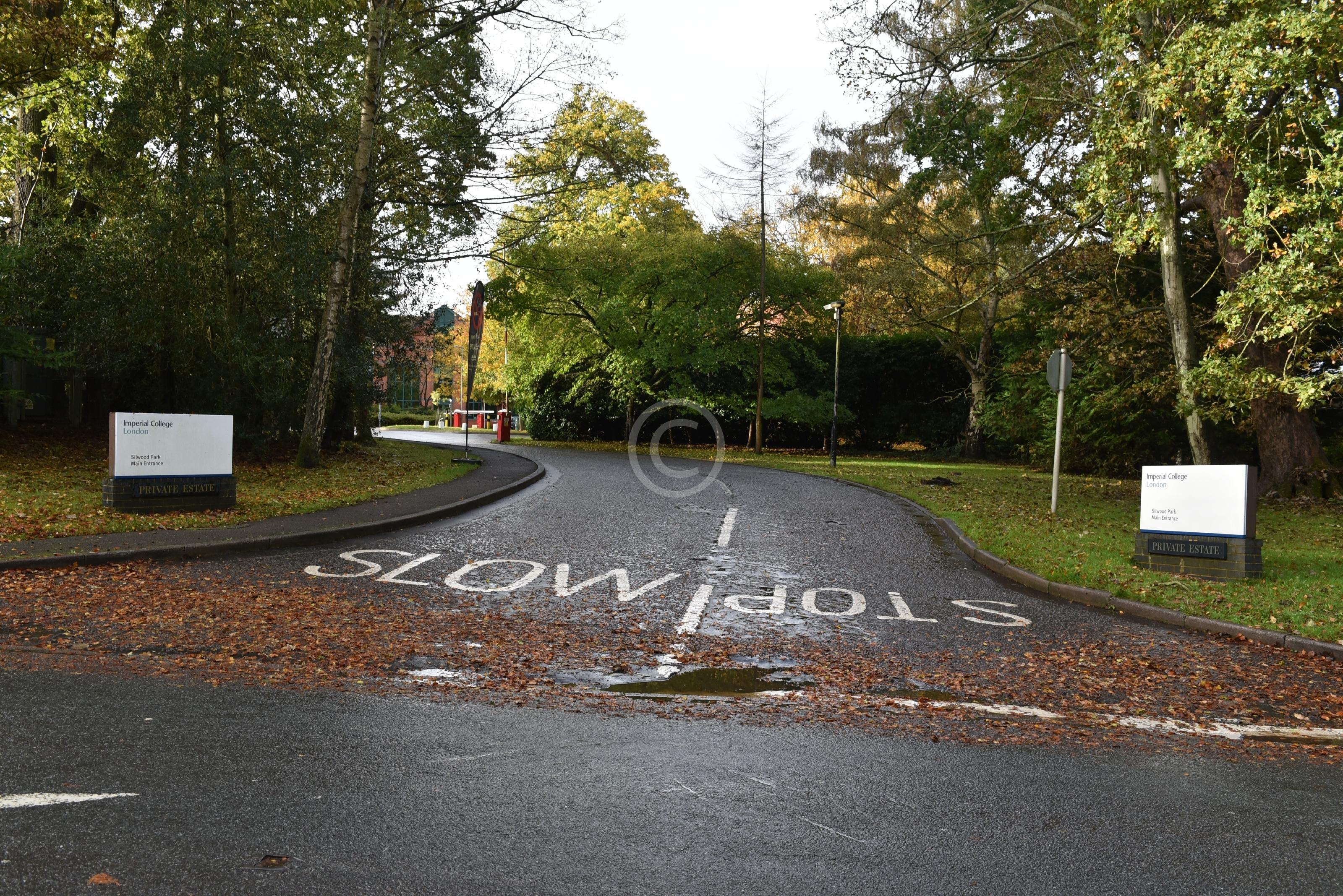 ASCOT 135914 Photo 1 of 8 Baylis Media Photos