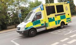 Abuse survivors deterred from emergency help amid ongoing data breaches