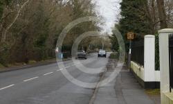DEDWORTH 136693