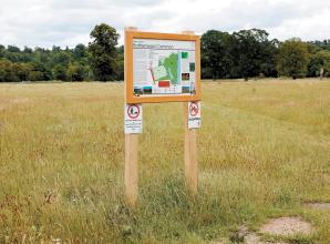 Pilot to make pathways ‘disabled-friendly’ too ‘Maidenhead-centric’, councillor says