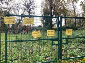 Woodland subject to &lsquo;chainsaw massacre&rsquo; can become new homes after inspector u-turn