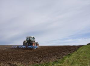 Farmers say 'damage is already done' despite forecasted rainfall