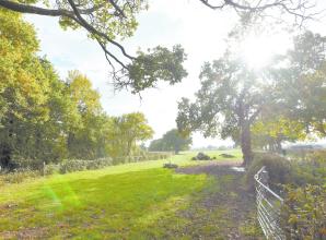 Council aims for 30% of Royal Borough 'managed for nature' in environment strategy