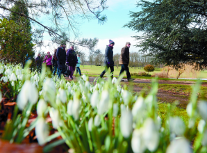 Major restoration planned at 'hidden gem' memorial gardens