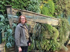 These easy-care houseplants don't need much water