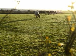 &lsquo;Horrified&rsquo; villagers fear Burnham will be &lsquo;unliveable&rsquo; if 800-home plan approved, meeting hears