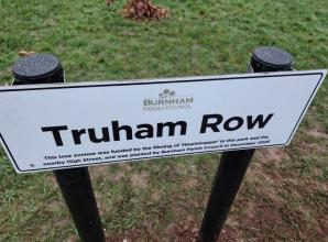 New avenue of trees in Burnham funded by Heartstopper filming