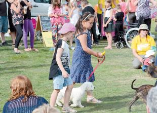 Fun for the family at annual Larchfield Festival